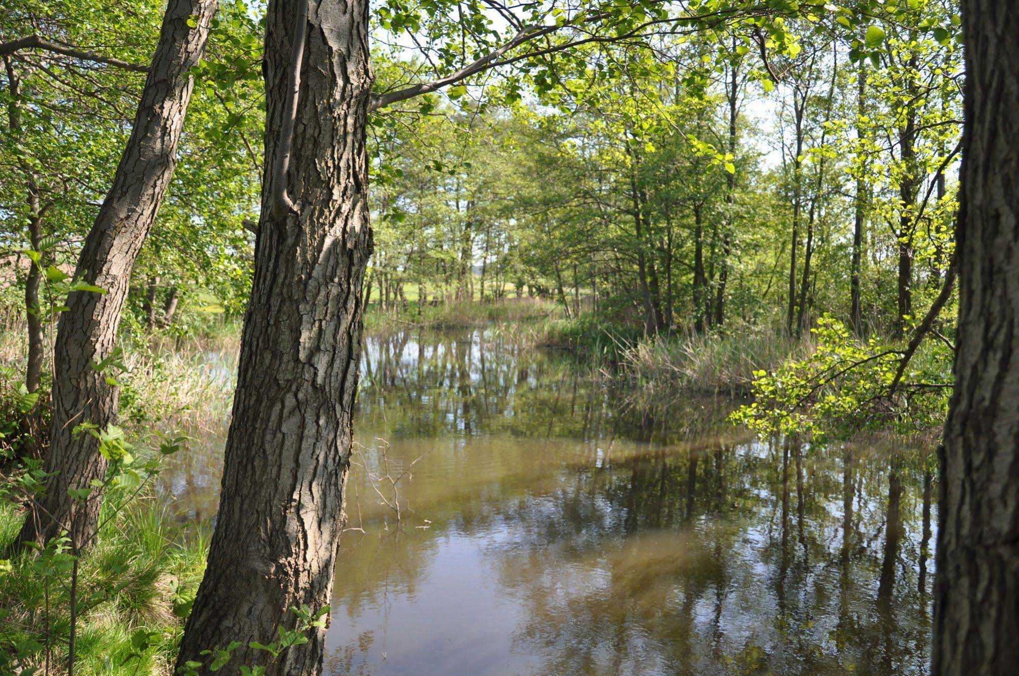 Am Gothensee