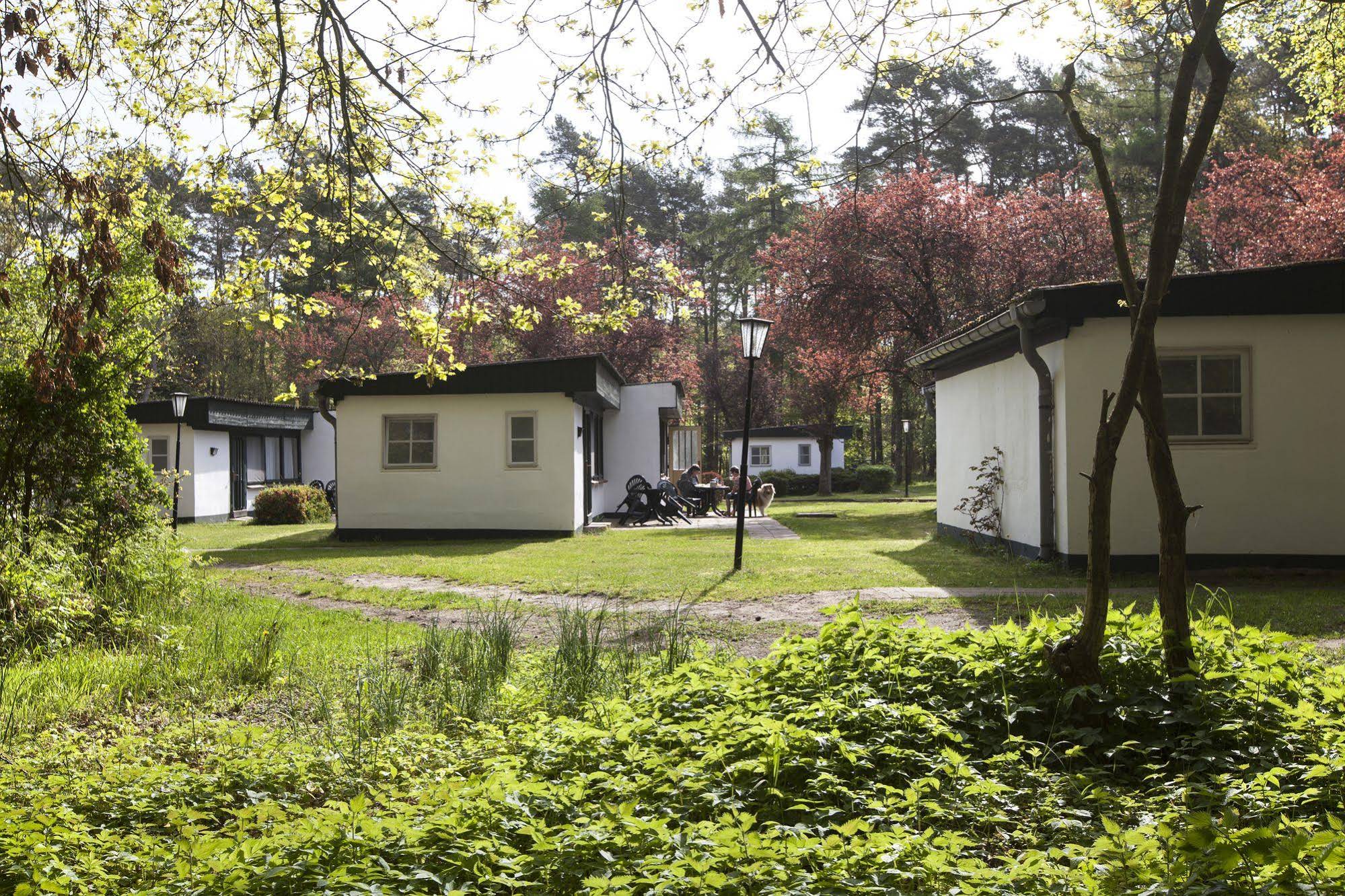 Ferienresort Damerow