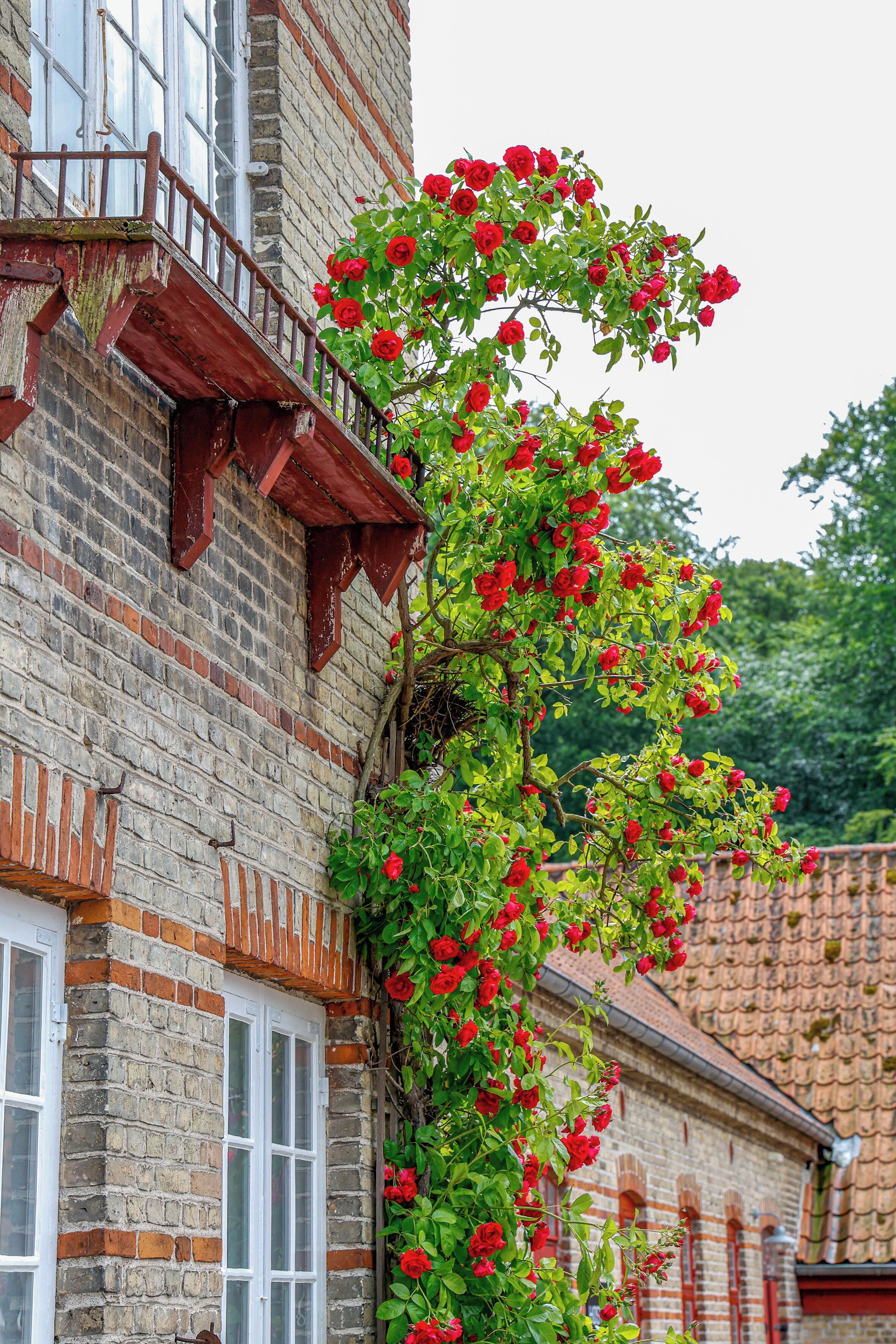 Sommers B&B