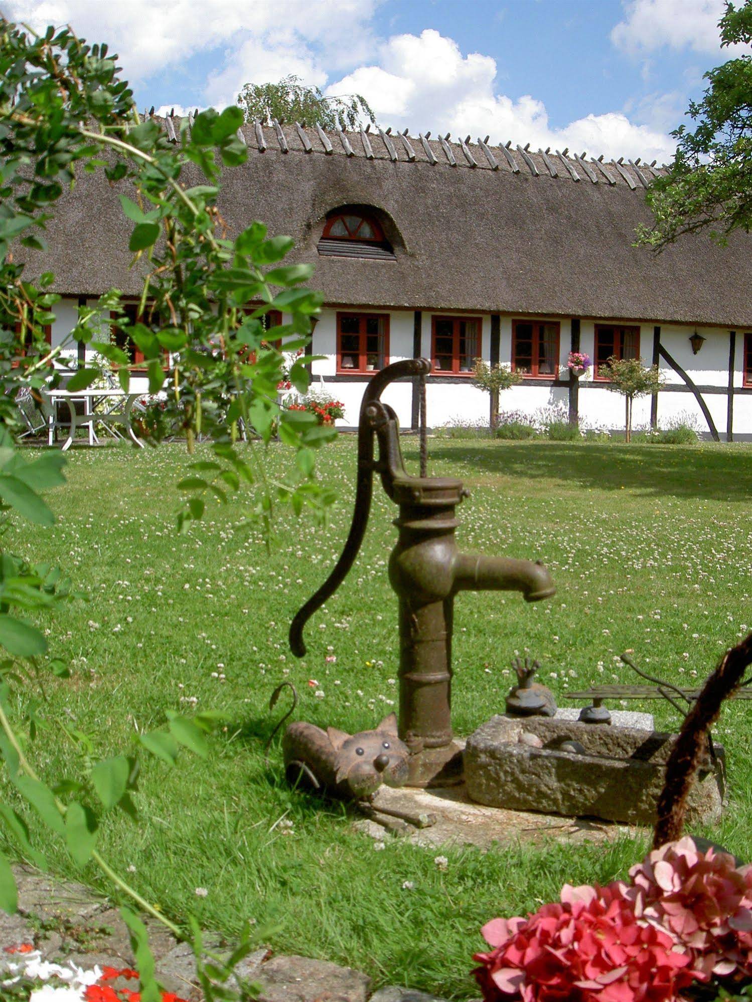 Kirsebaerkroen