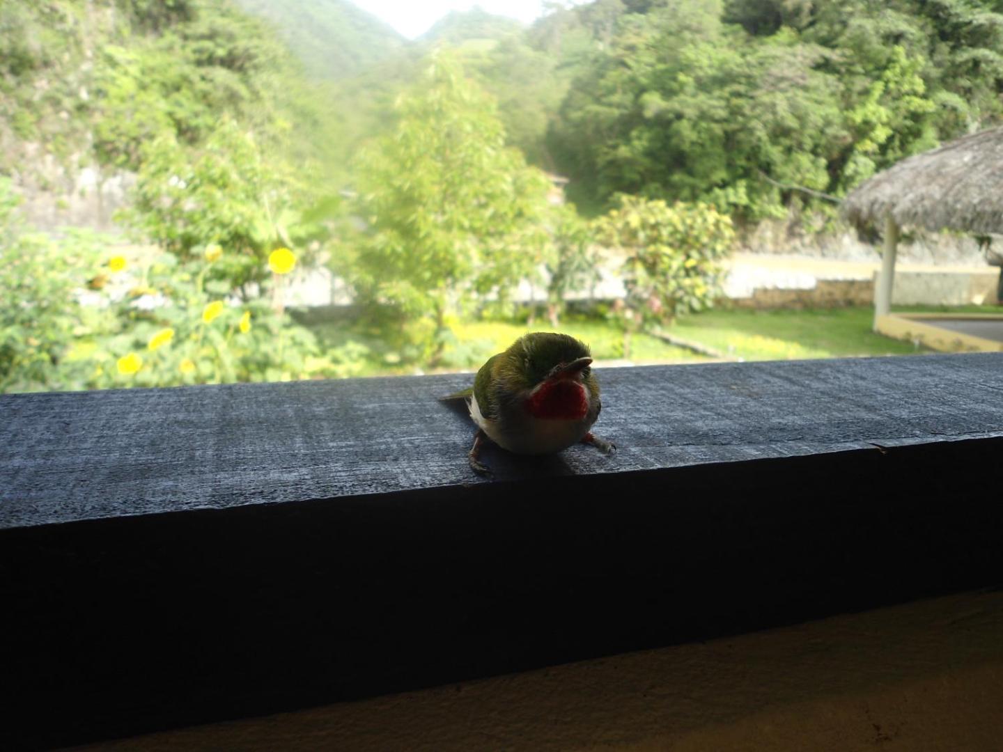 Casa Conrado Guesthouse B&B