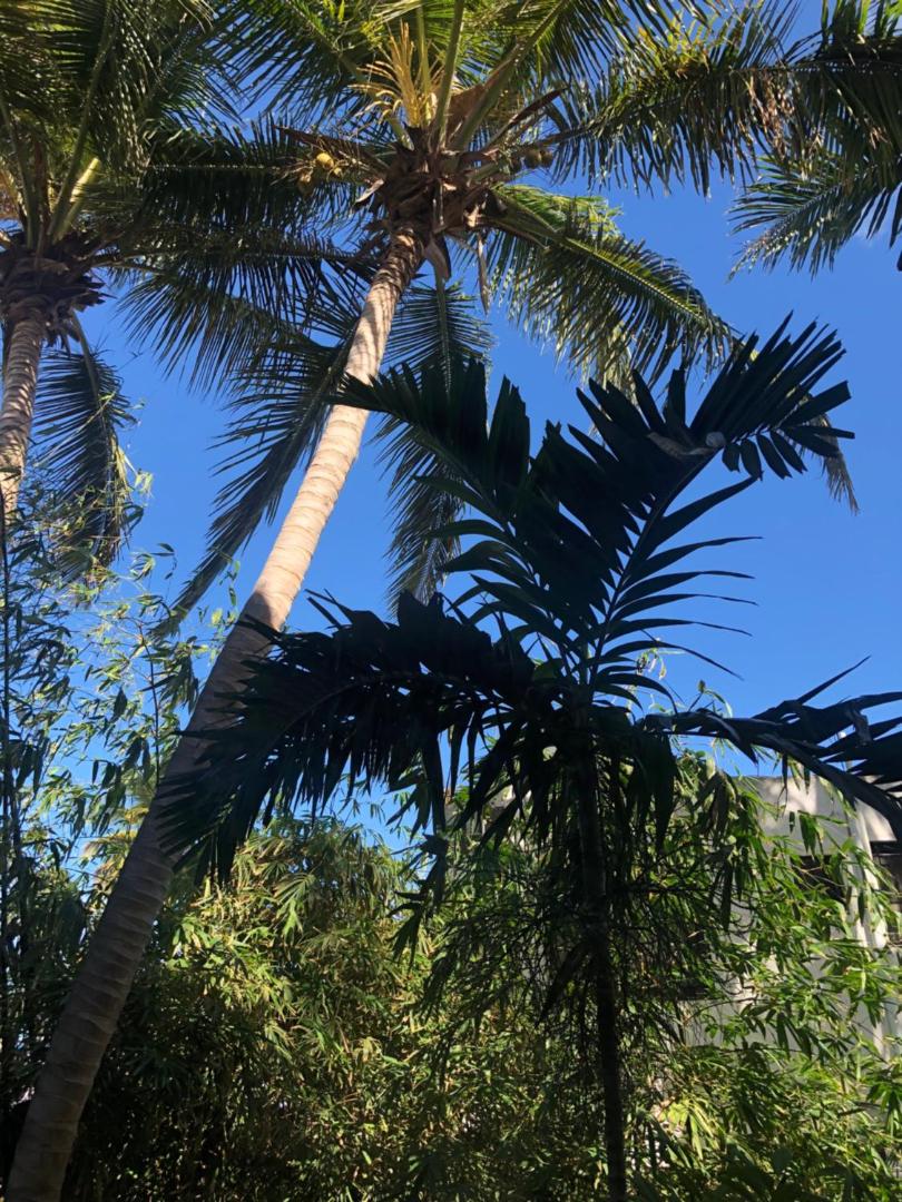 Villa Florencia Bavaro