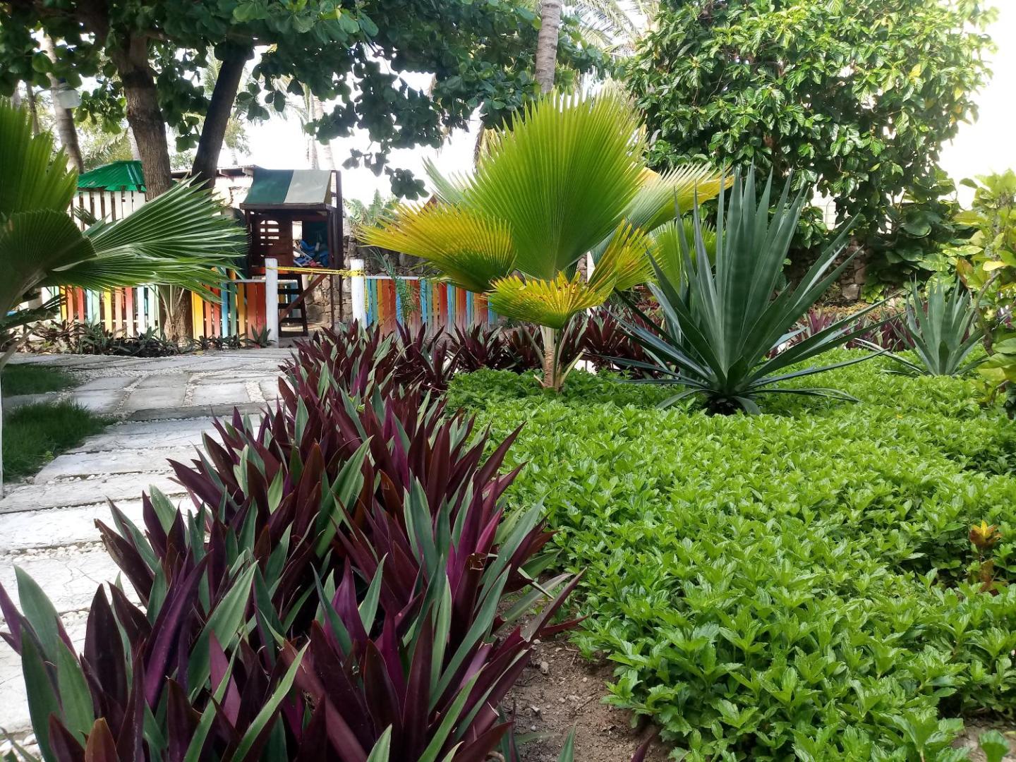Riviera Punta Cana Eco Travelers House