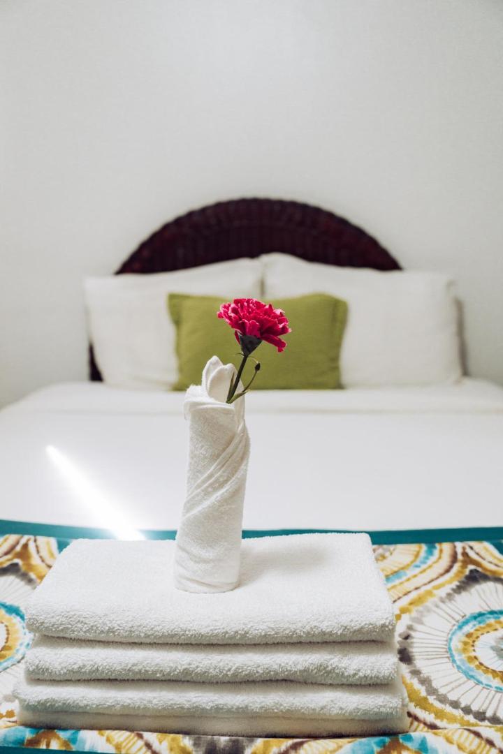 Riviera Punta Cana Eco Travelers House