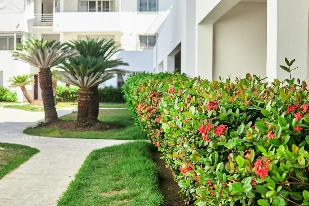 Los Corales Village - Las Terrazas Condo