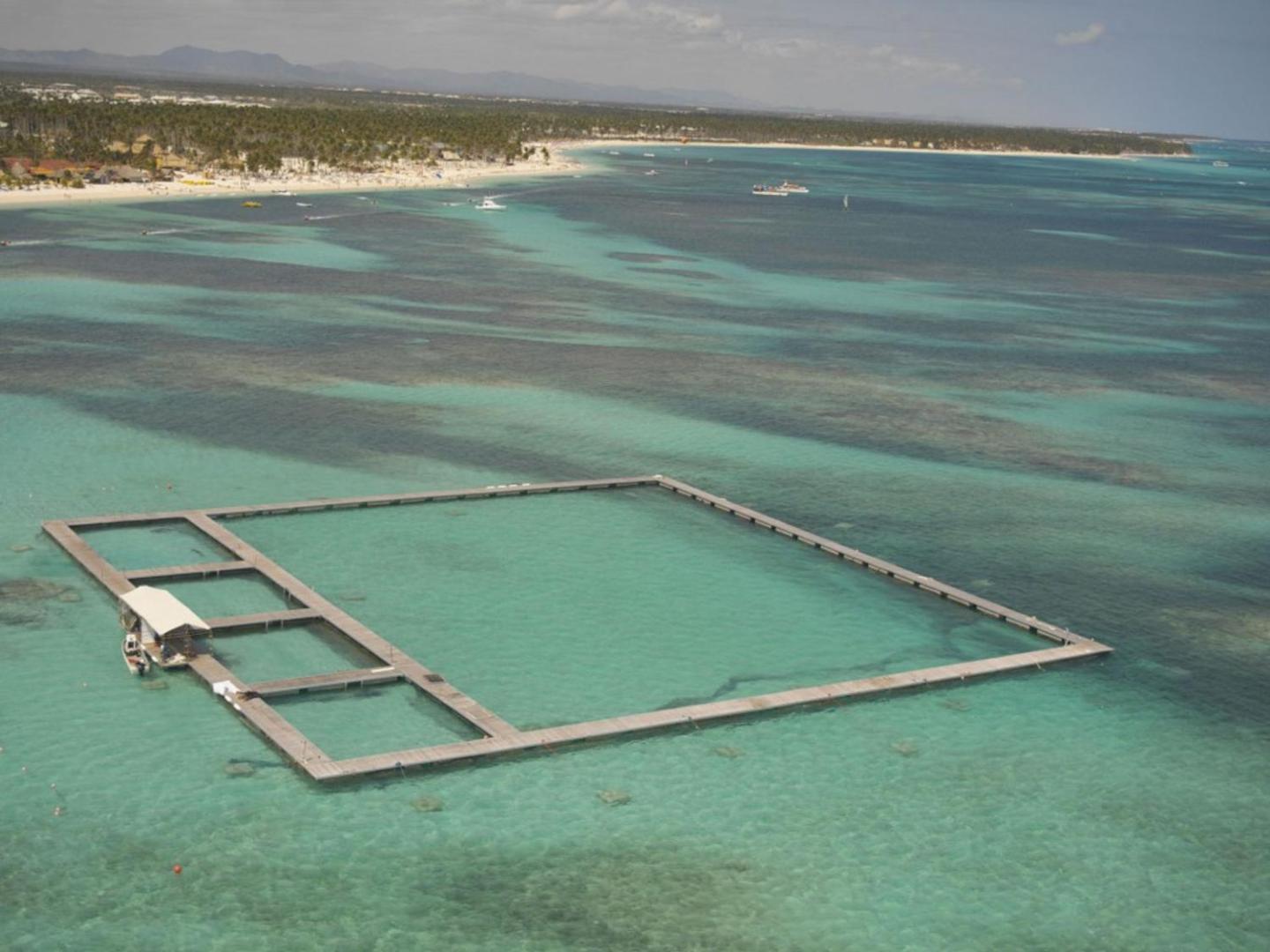 Villa Yara Ideal Families