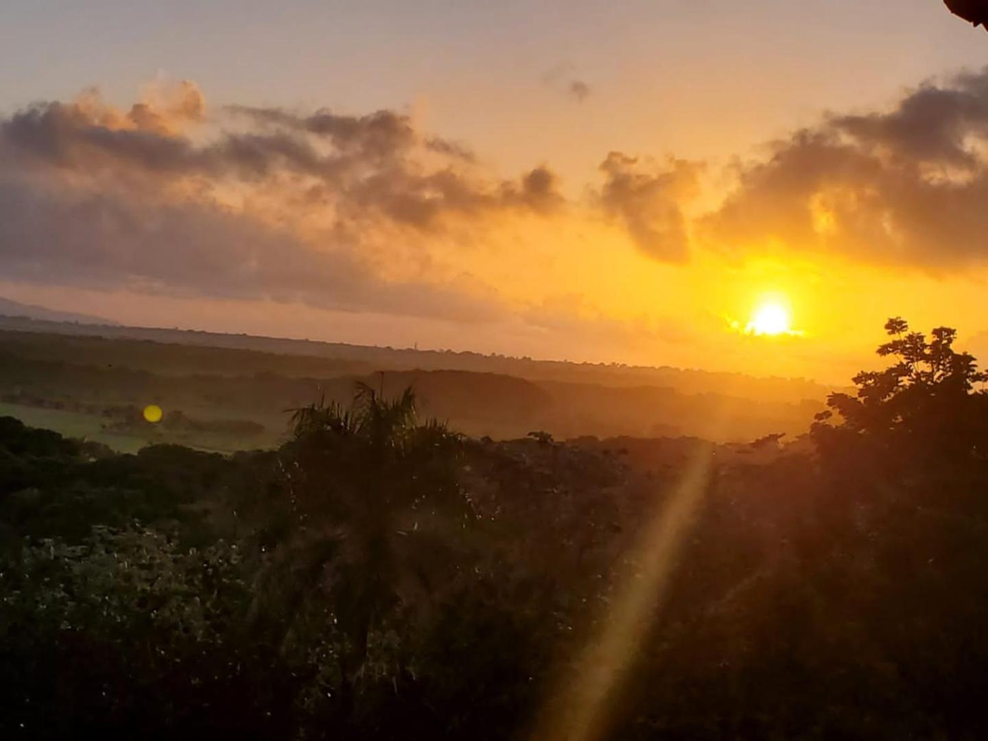 Altos de Caño Hondo