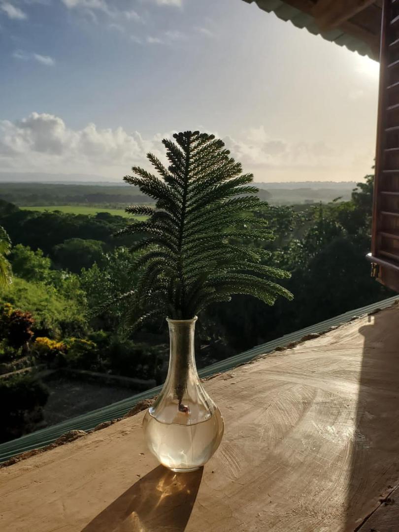 Altos de Caño Hondo