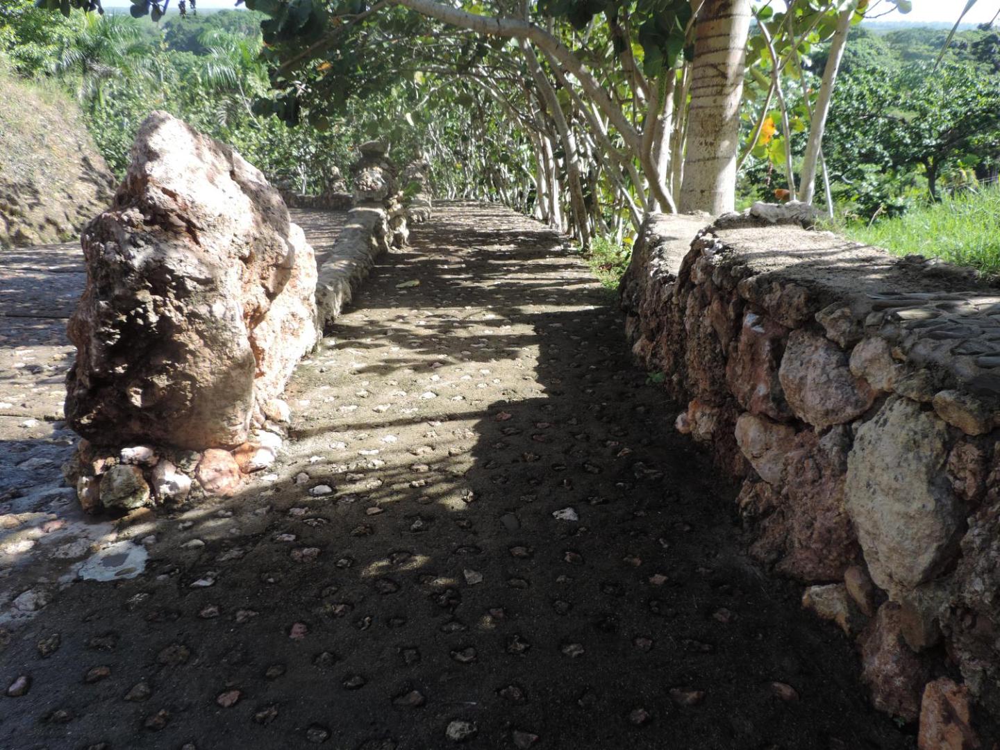 Altos de Caño Hondo