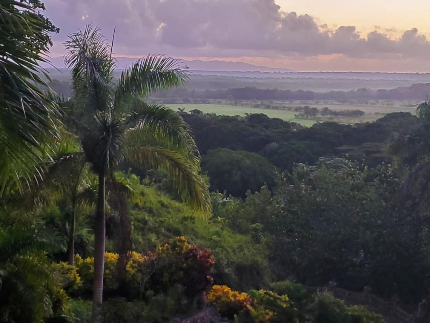 Altos de Caño Hondo