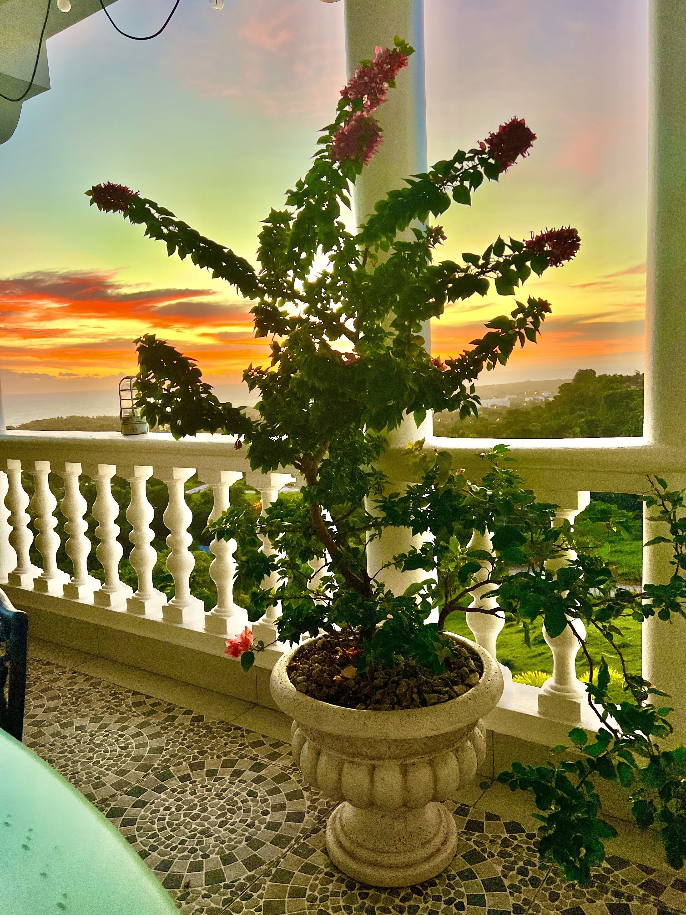 Casablanca Hotel