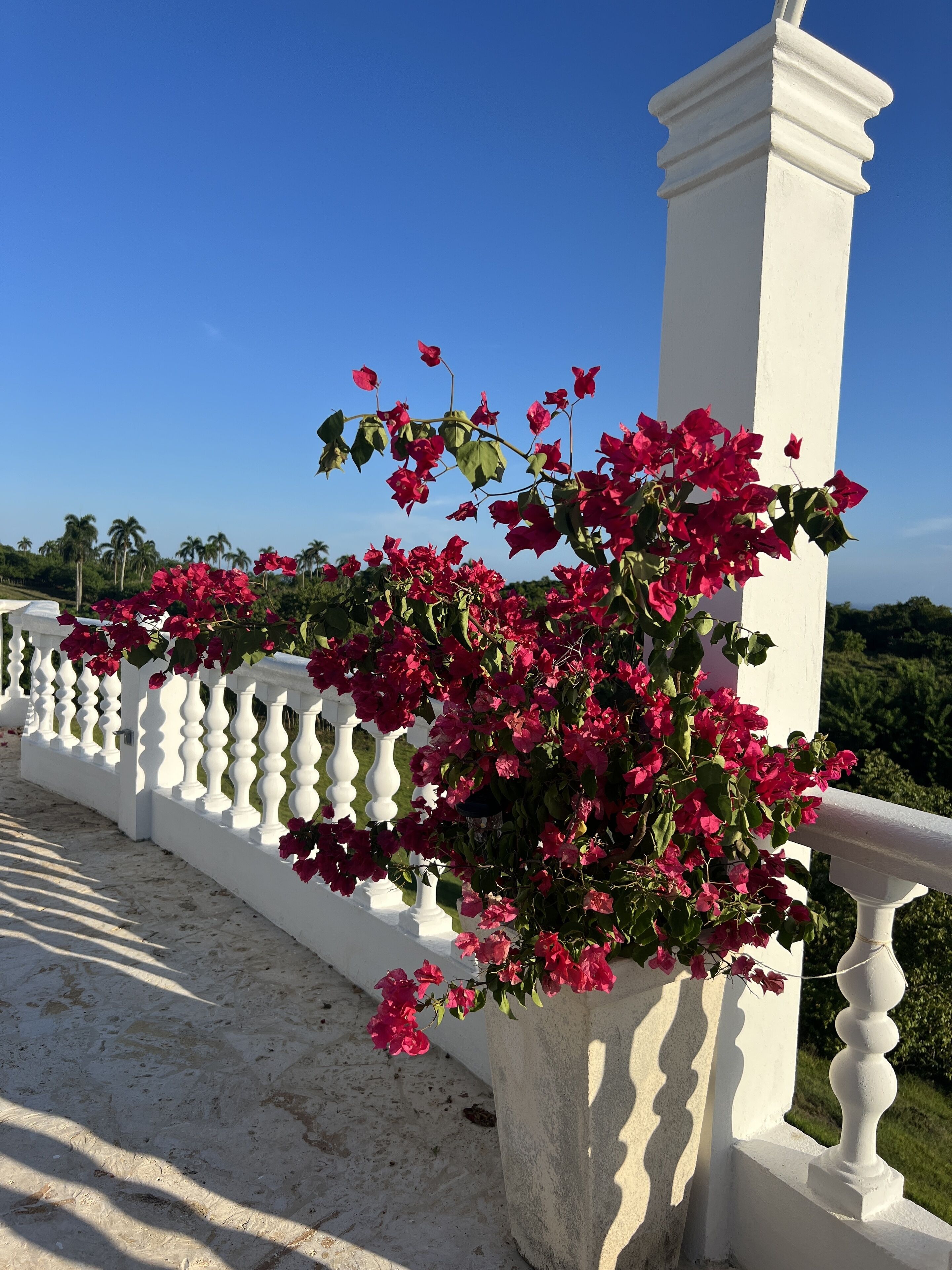 Casablanca Hotel