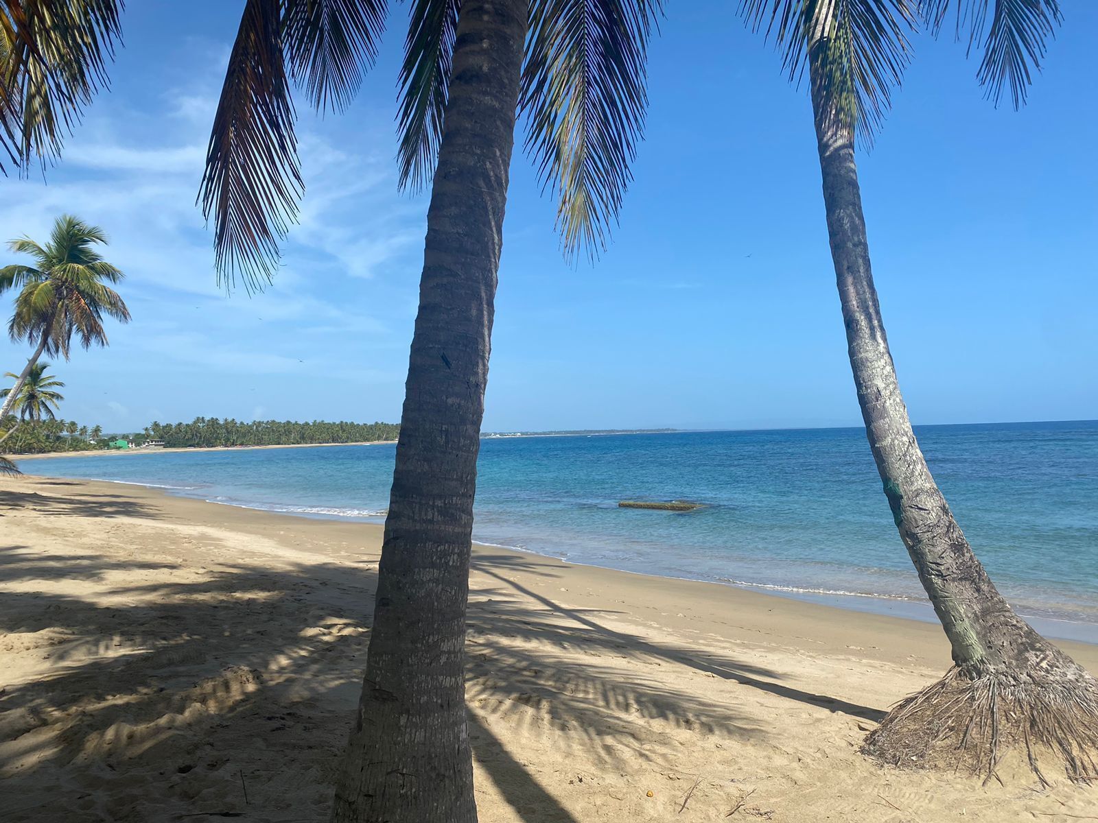 The Palm Bay Club Lodge