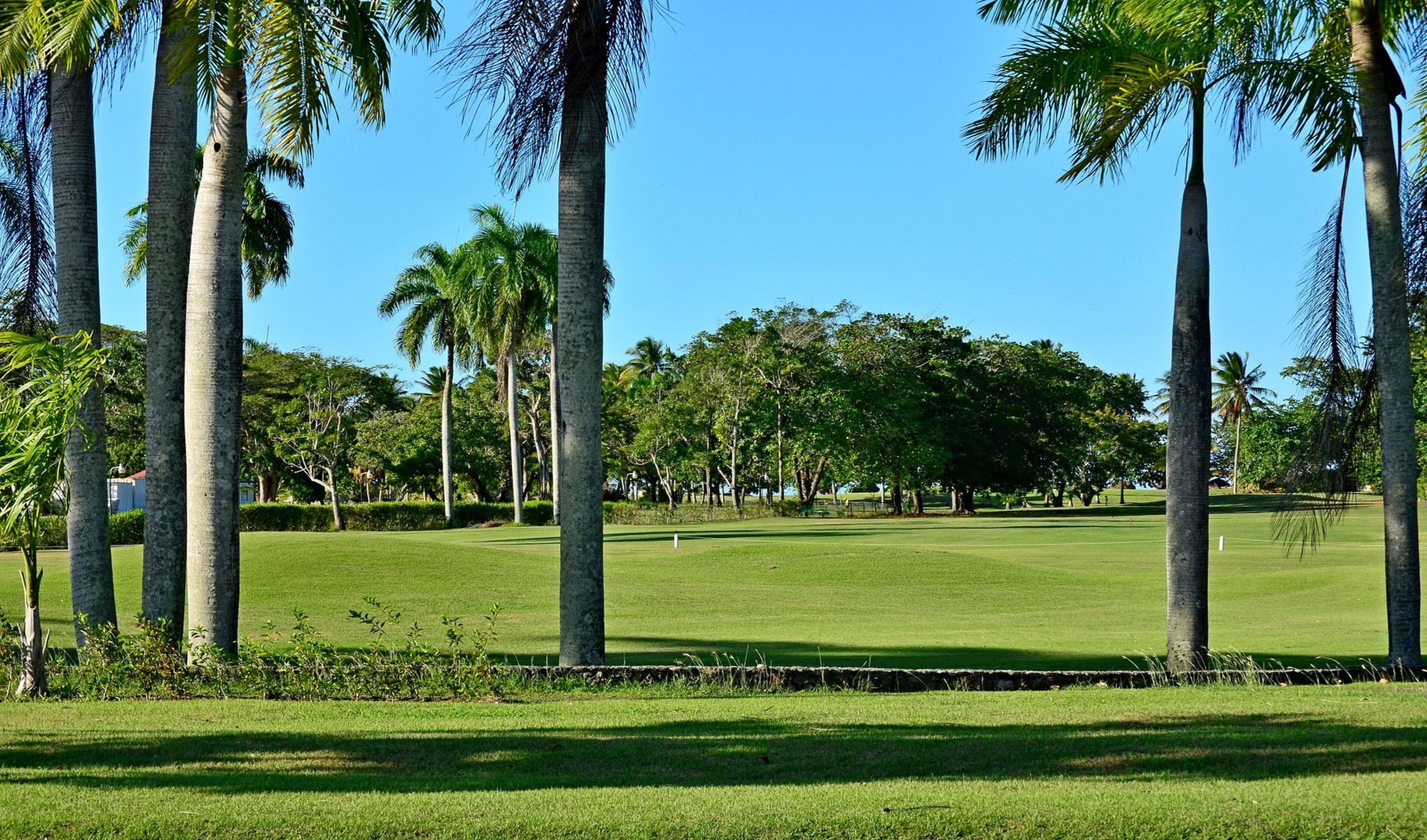 Casa Colonial Beach & Spa