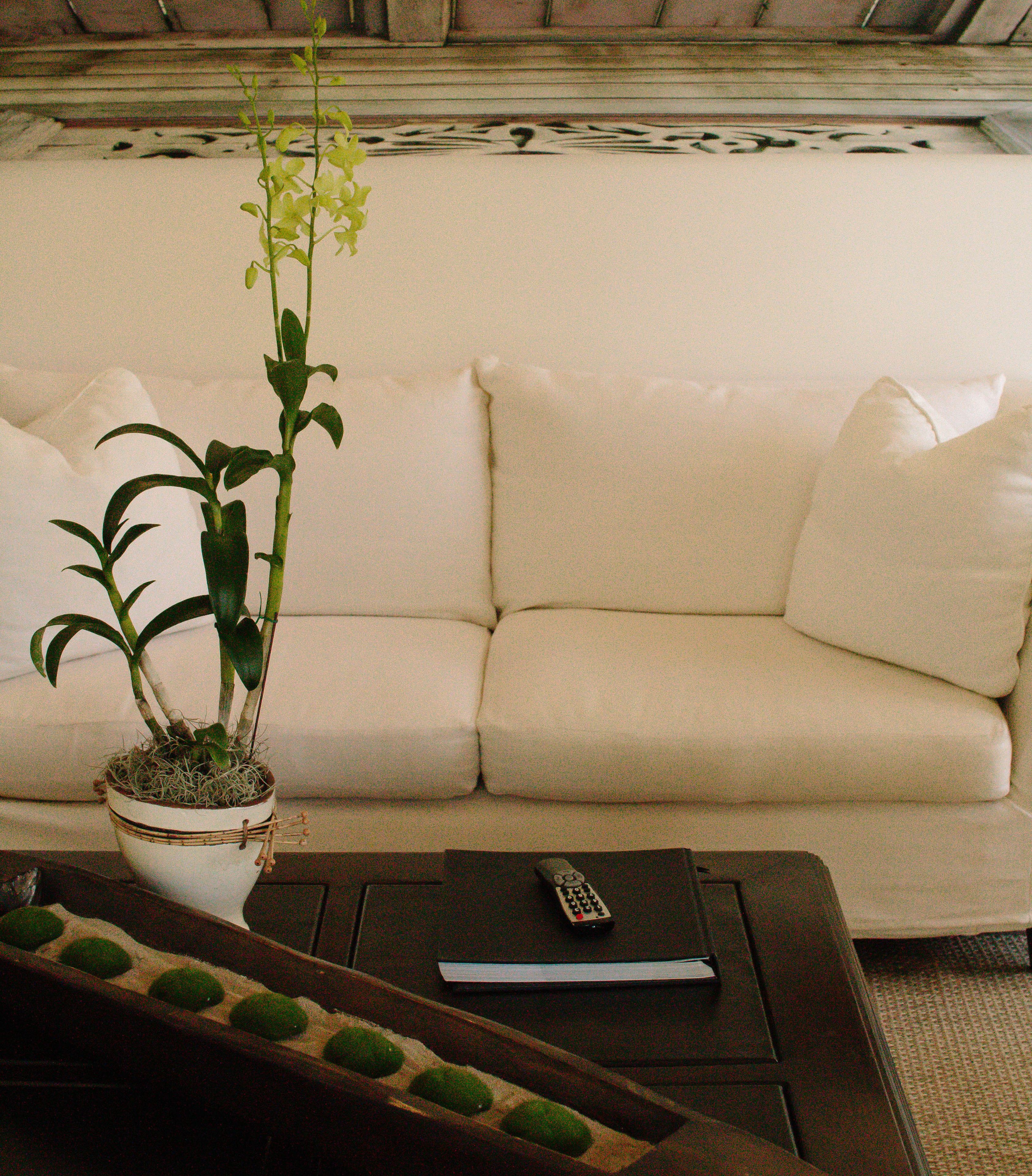 Casa Colonial Beach & Spa