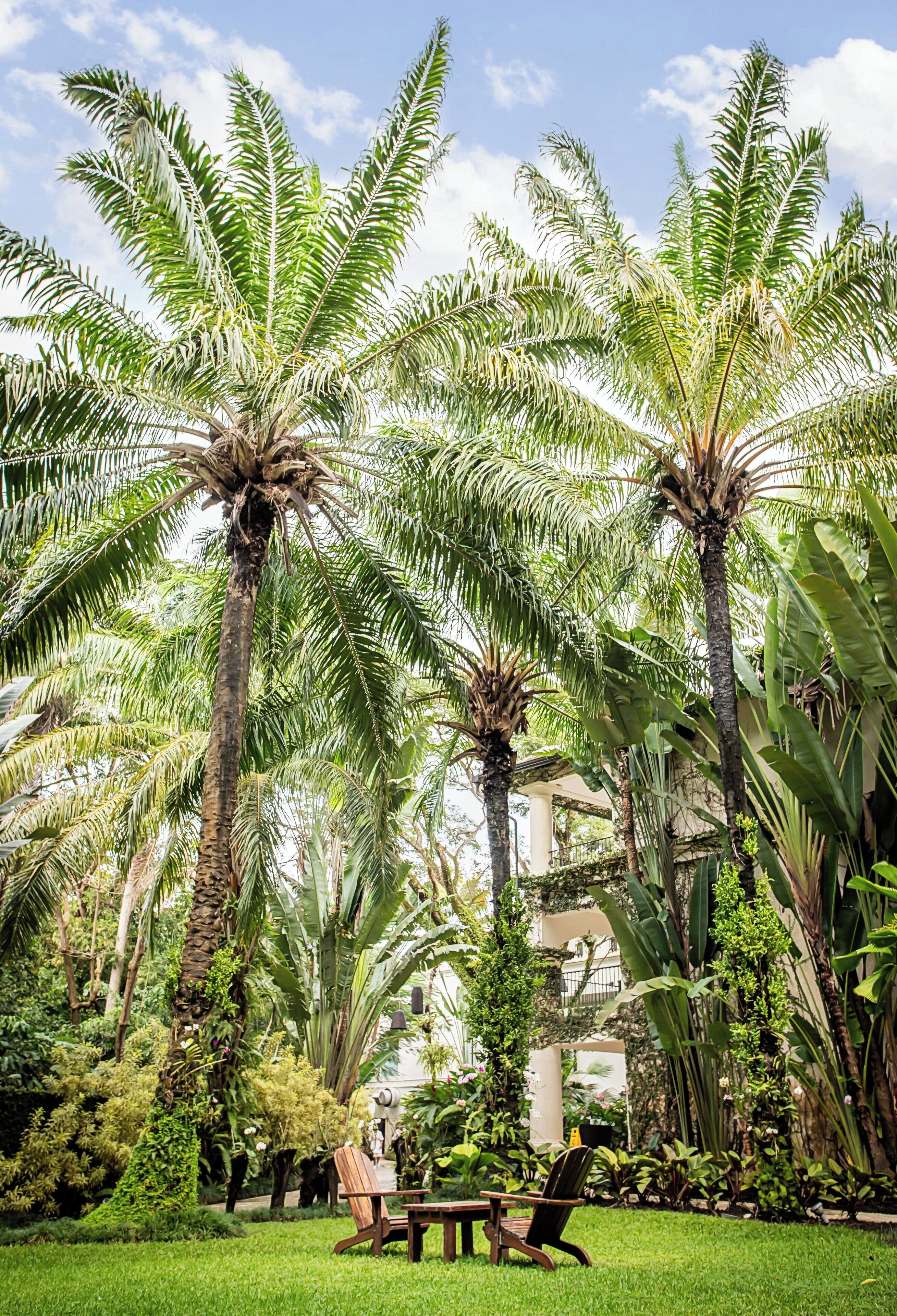 Casa Colonial Beach & Spa
