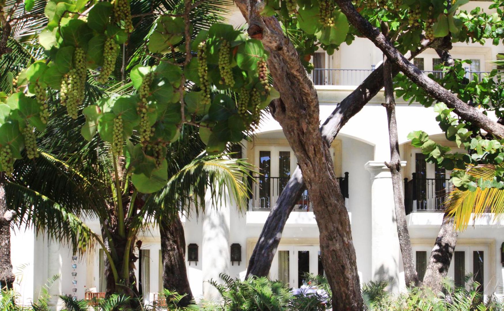 Casa Colonial Beach & Spa
