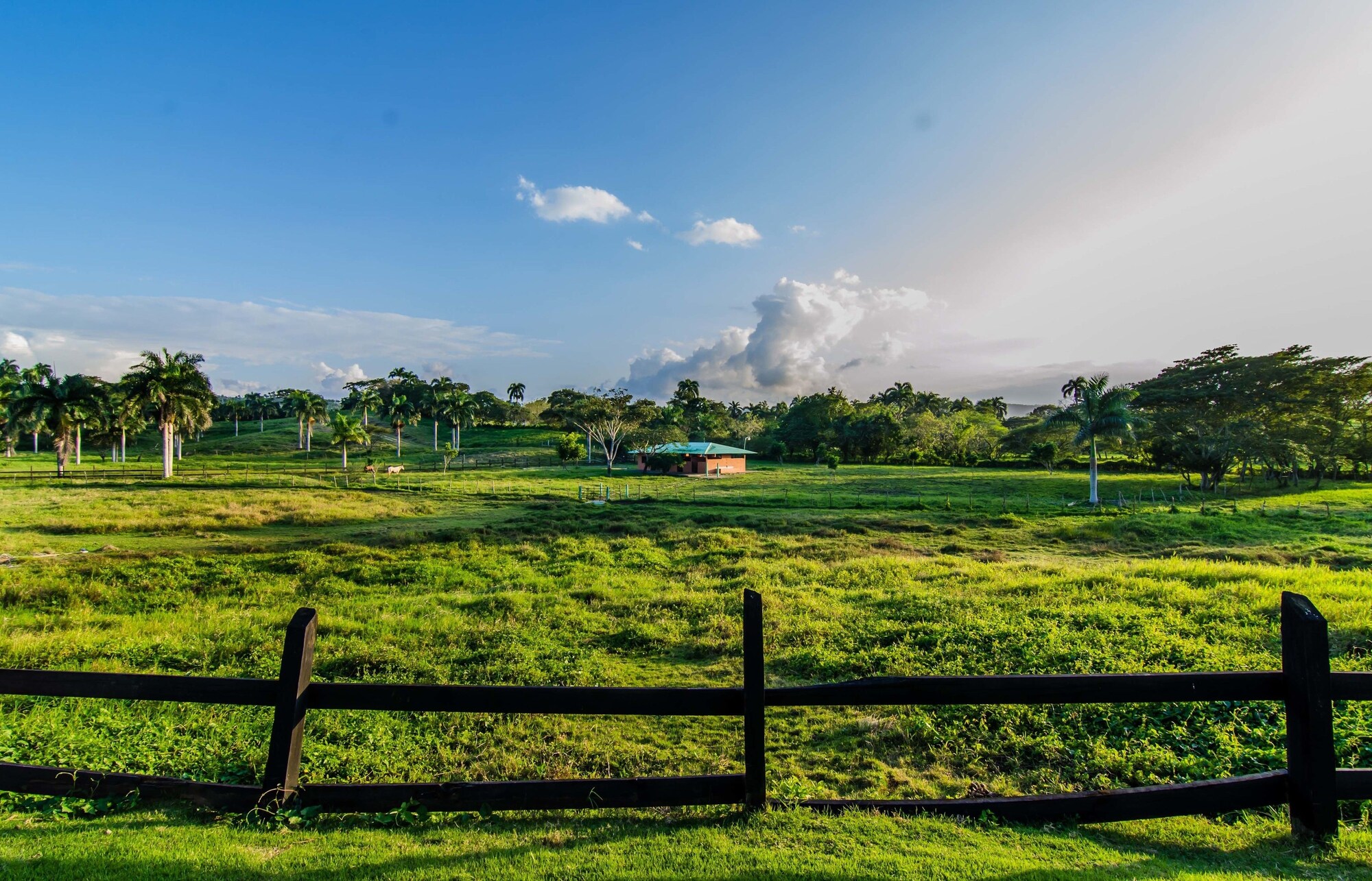 Terramar Estates Villas By Caribe Stays