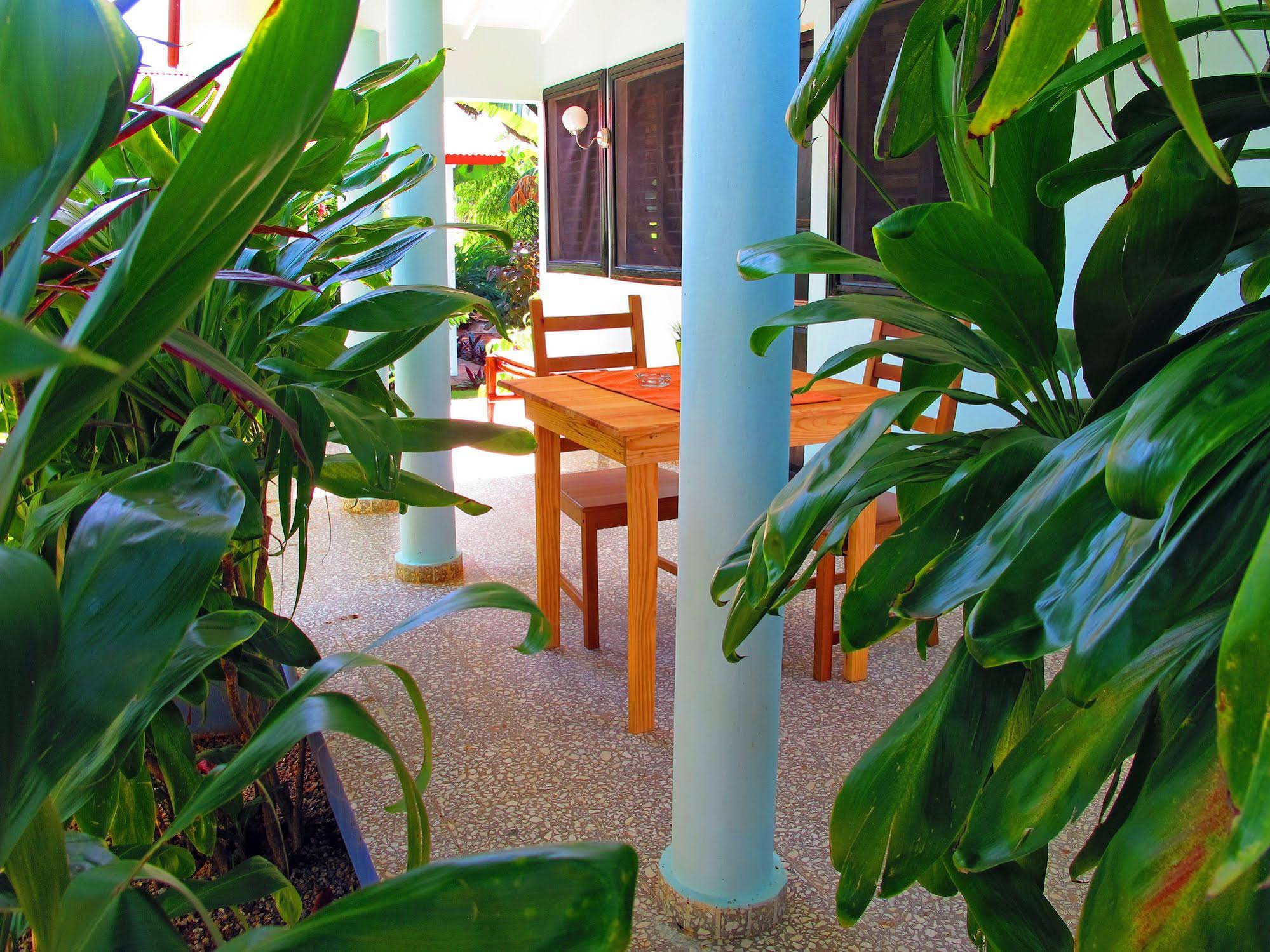 Bungalows Of Las Galeras