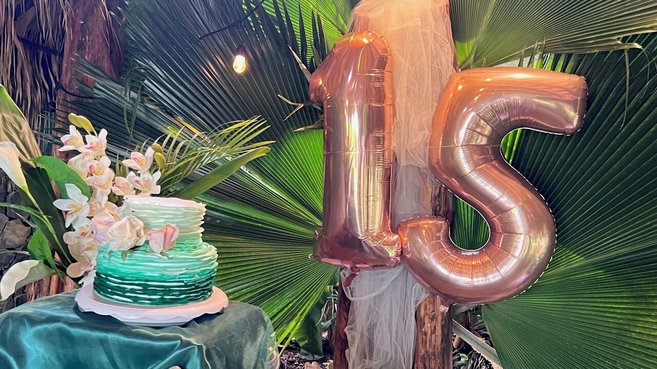 Chalet Tropical Village B&B