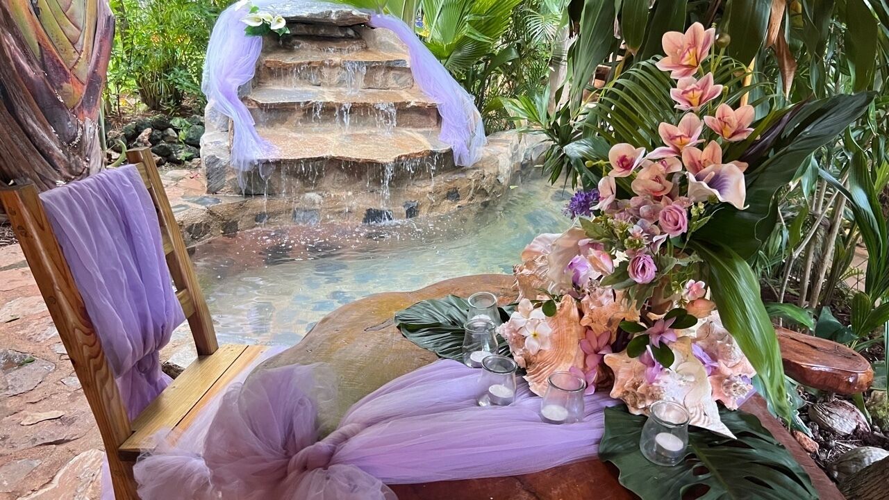 Chalet Tropical Village B&B