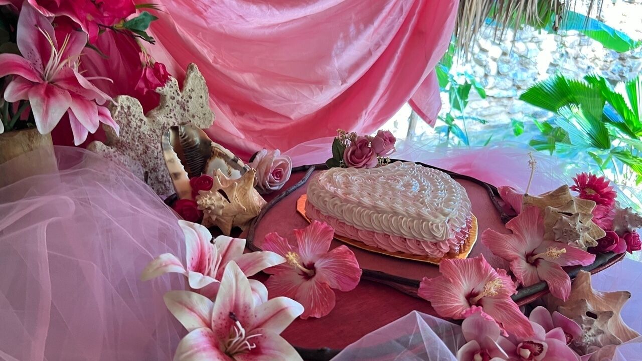 Chalet Tropical Village B&B