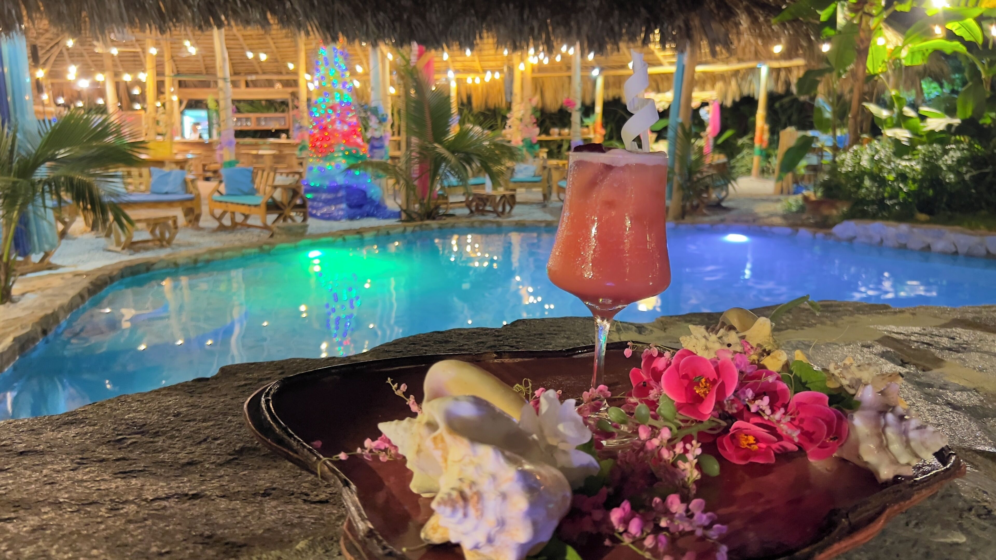 Chalet Tropical Village B&B