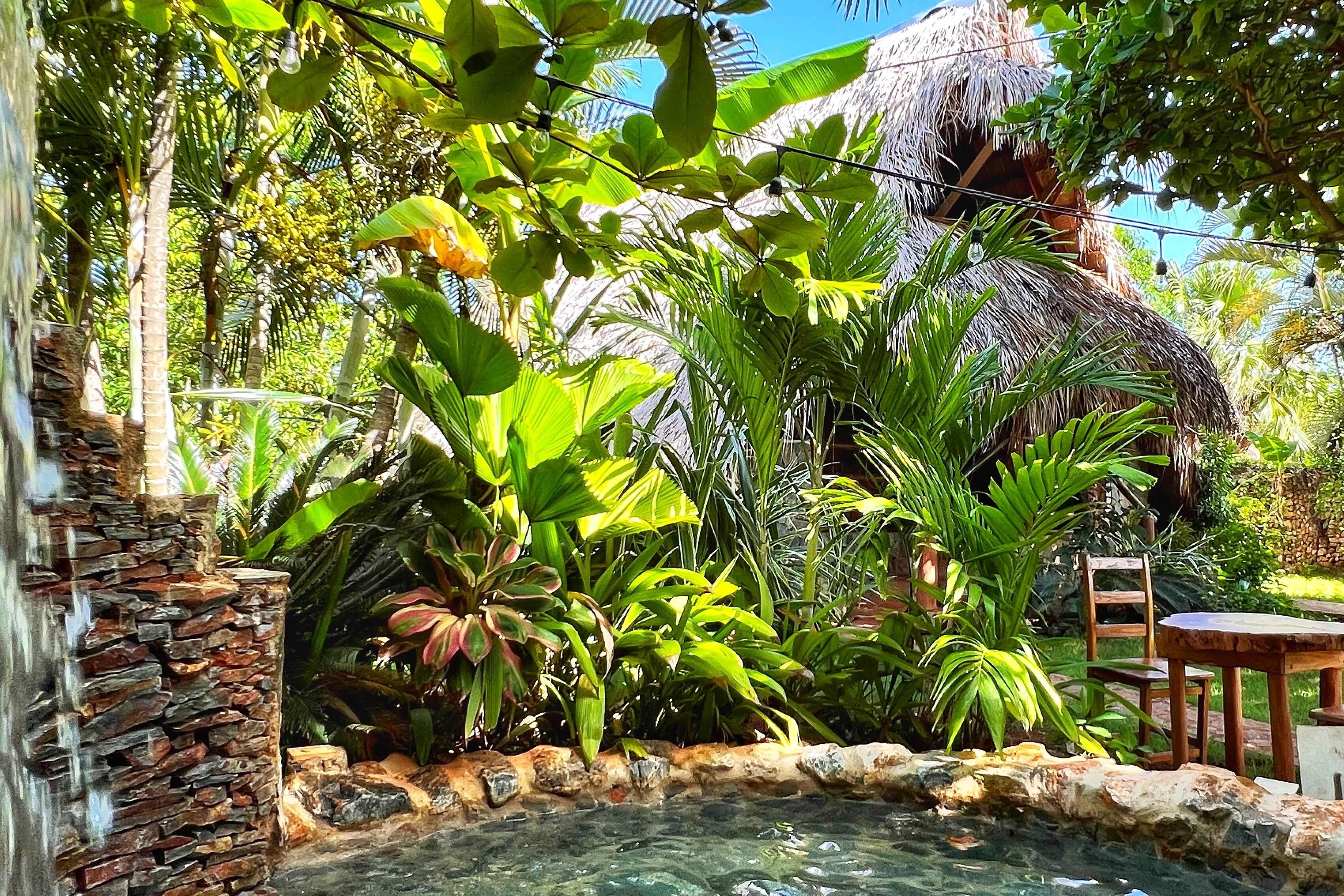 Chalet Tropical Village B&B