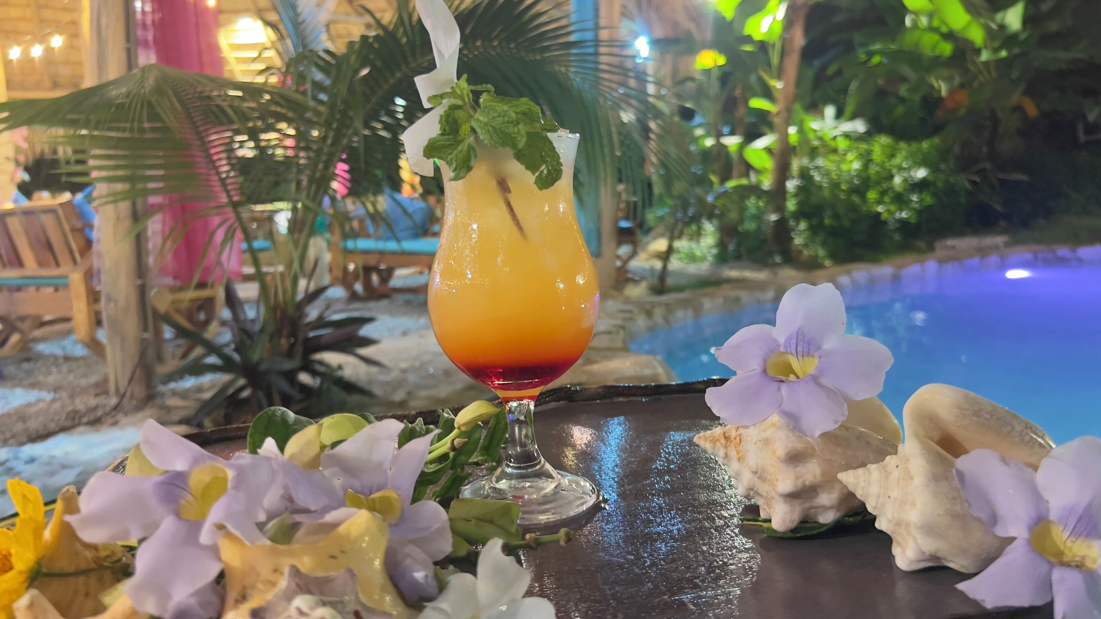 Chalet Tropical Village B&B