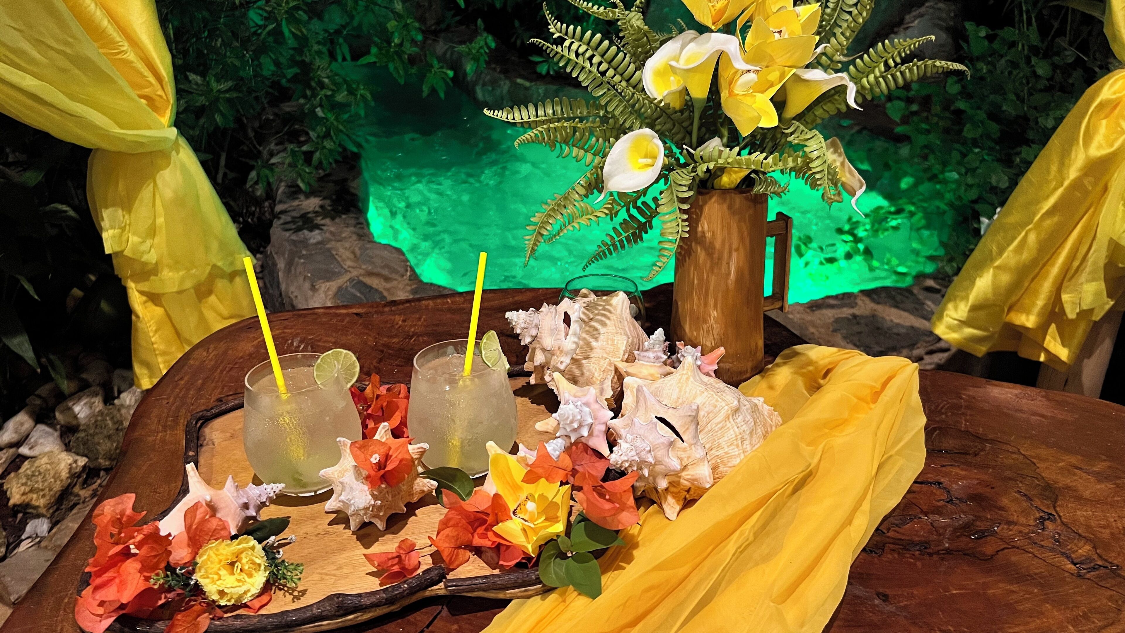 Chalet Tropical Village B&B