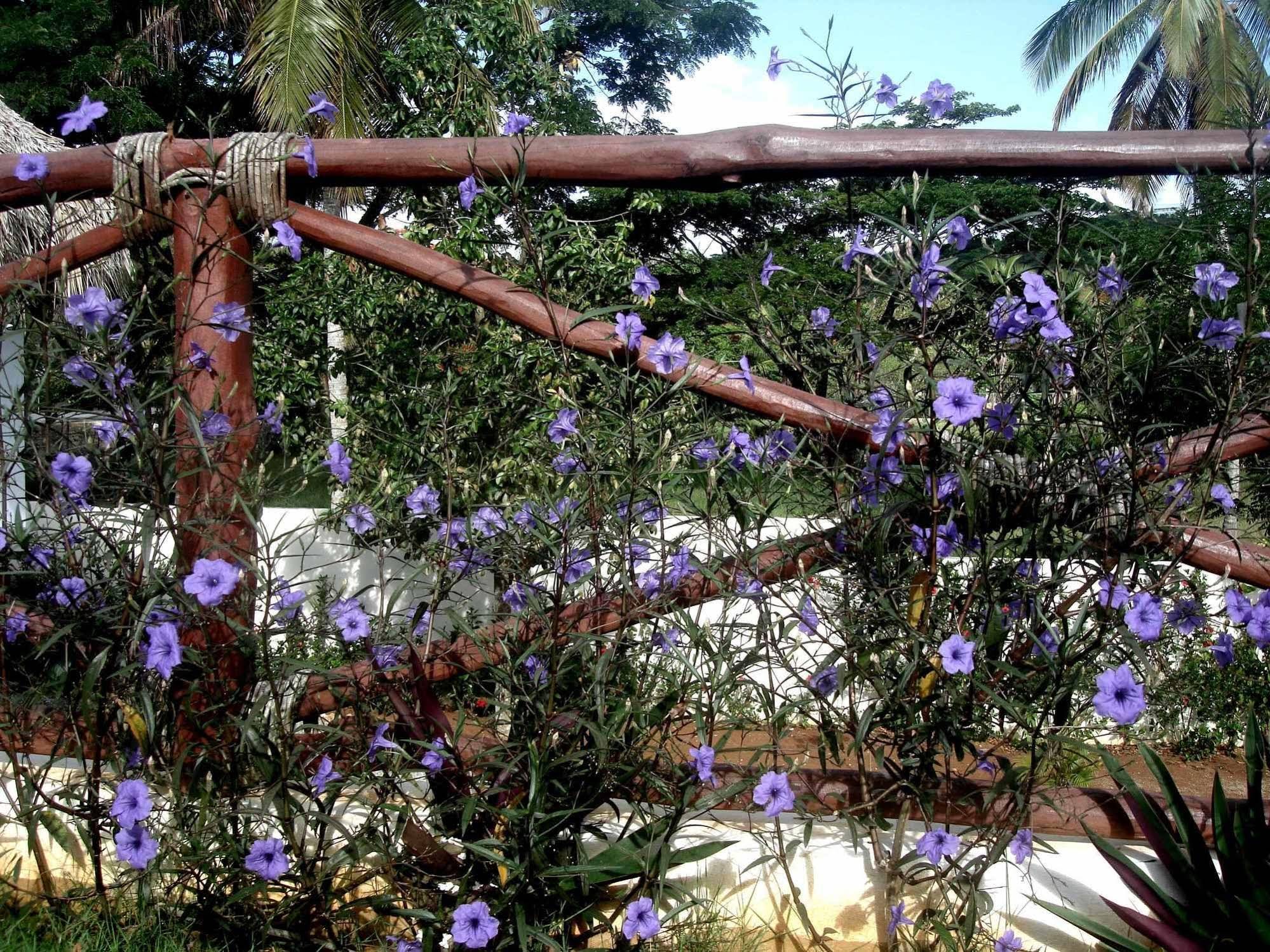 La Casa de Sergio y Cristina