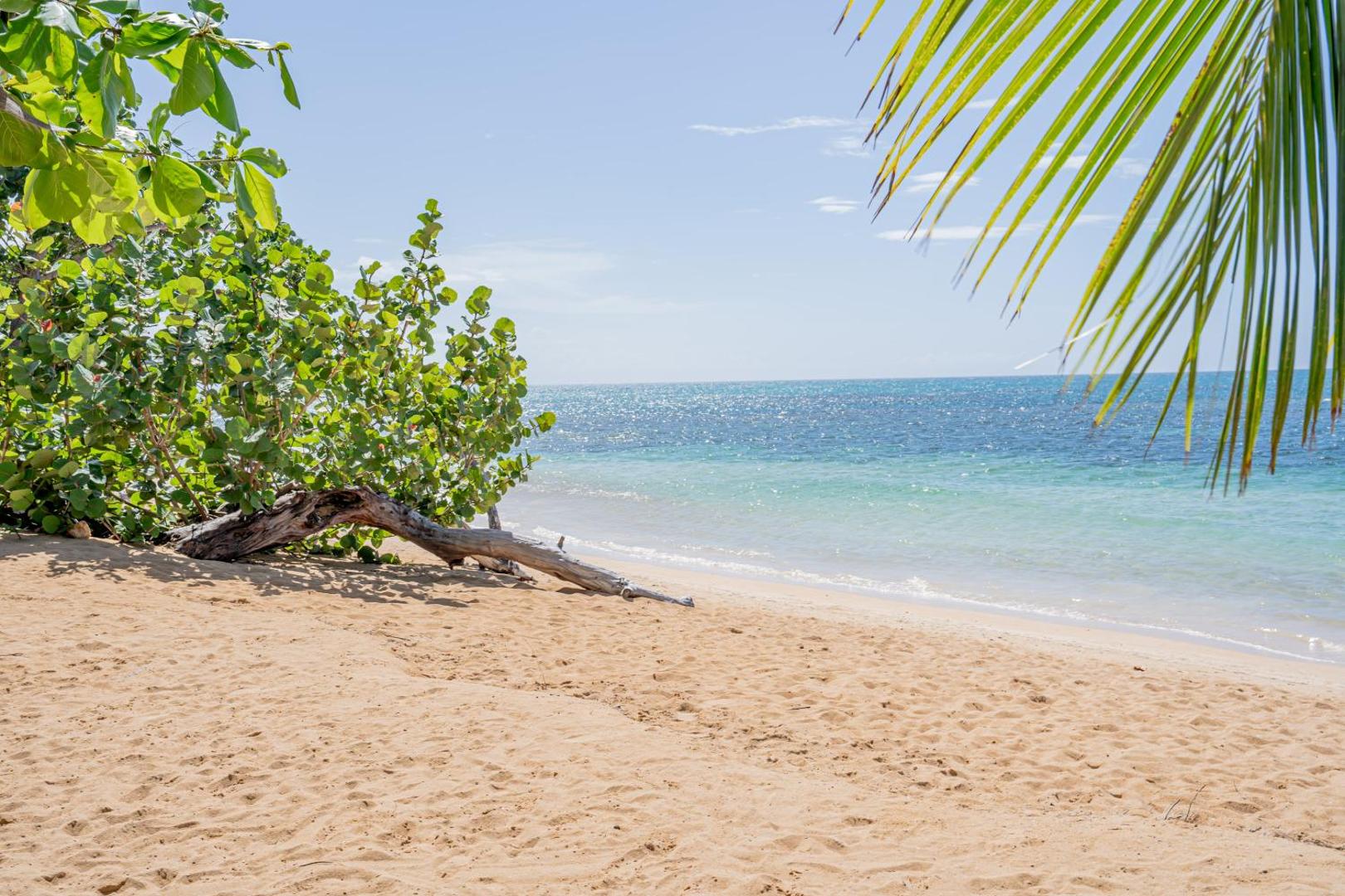 Xeliter Balcones del Atlantico