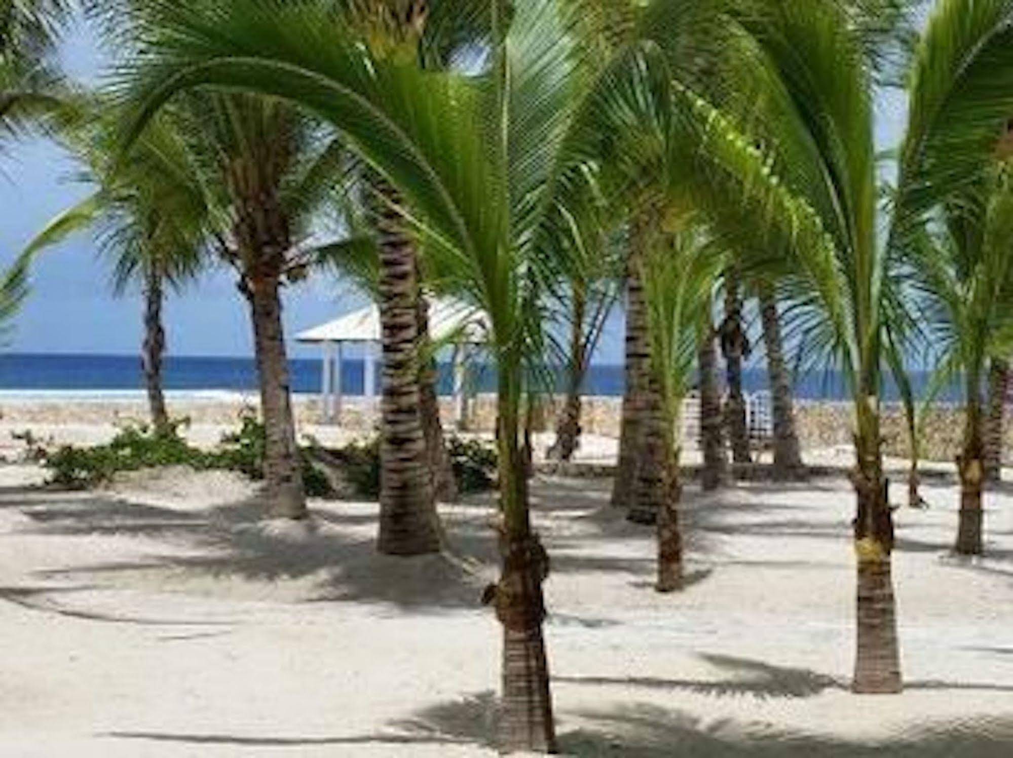 Bonagala Dominicus Residences