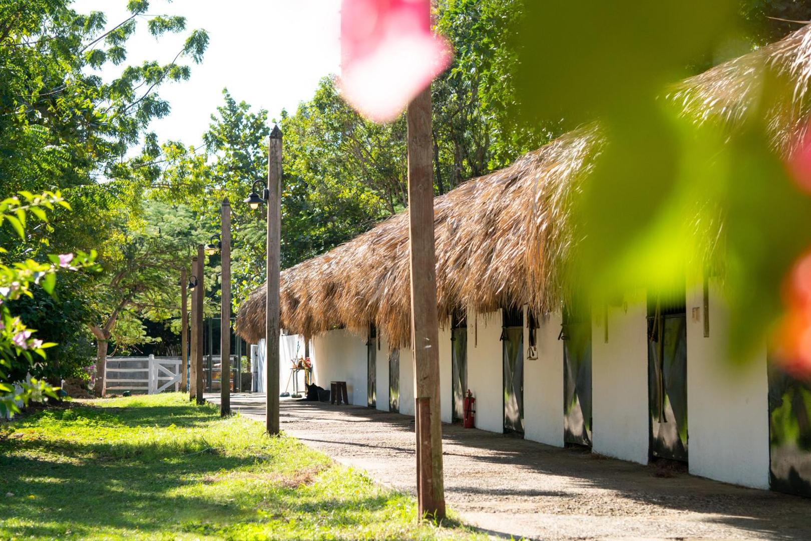 Hotel Casa Hemingway