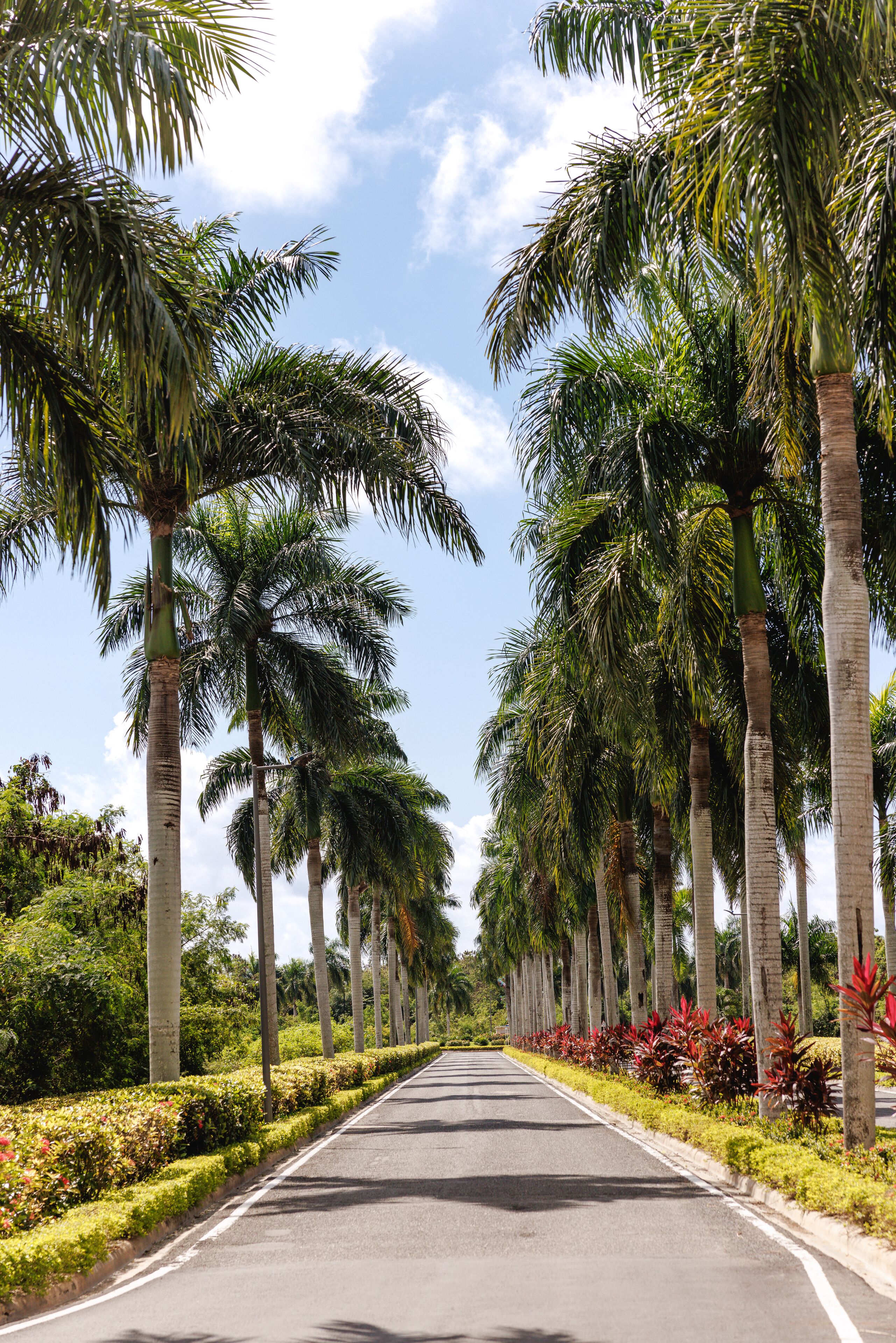 Villa Real Playa Nueva Romana