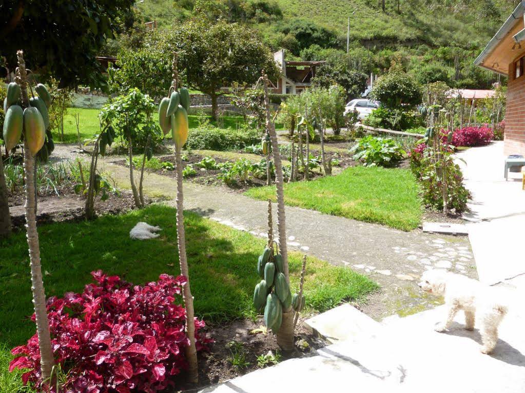 Hosteria Rincon De Isabel