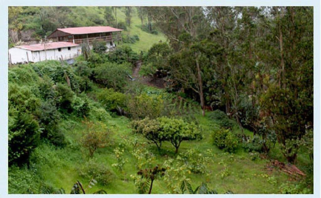 Hosteria Rincon De Isabel