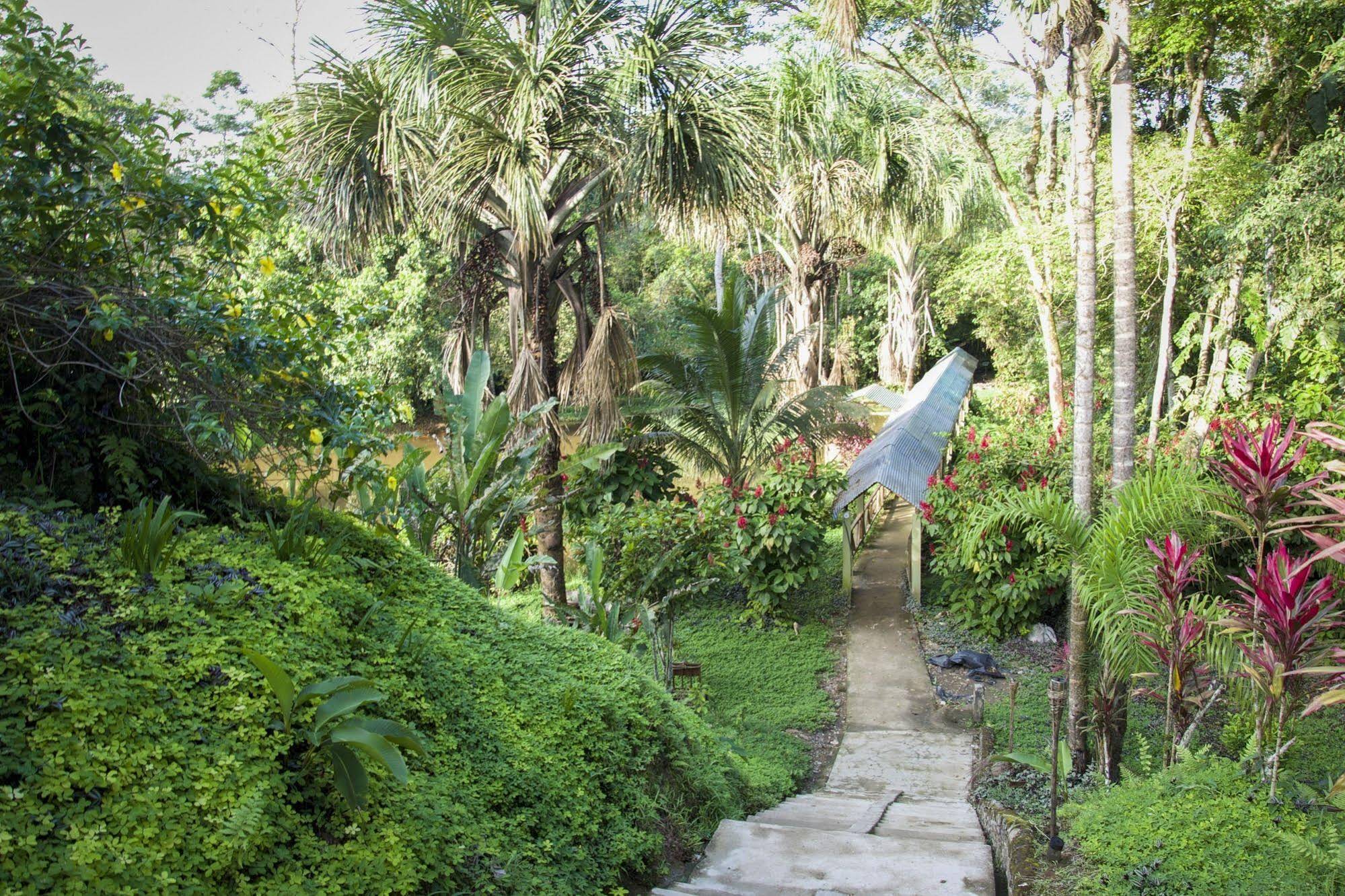 Suchipakari Jungle Lodge