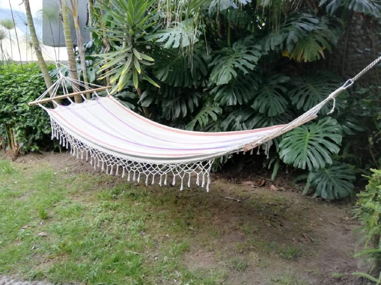 Hostal La Casa del Molino Blanco