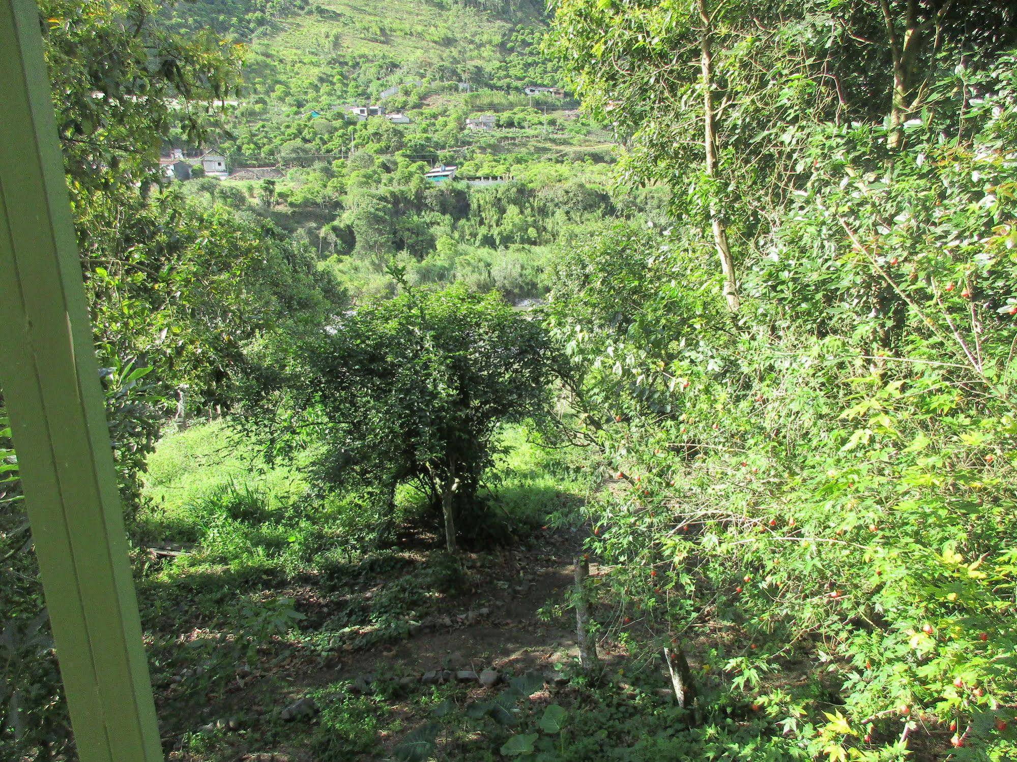 La Casa Verde - Eco Guest House