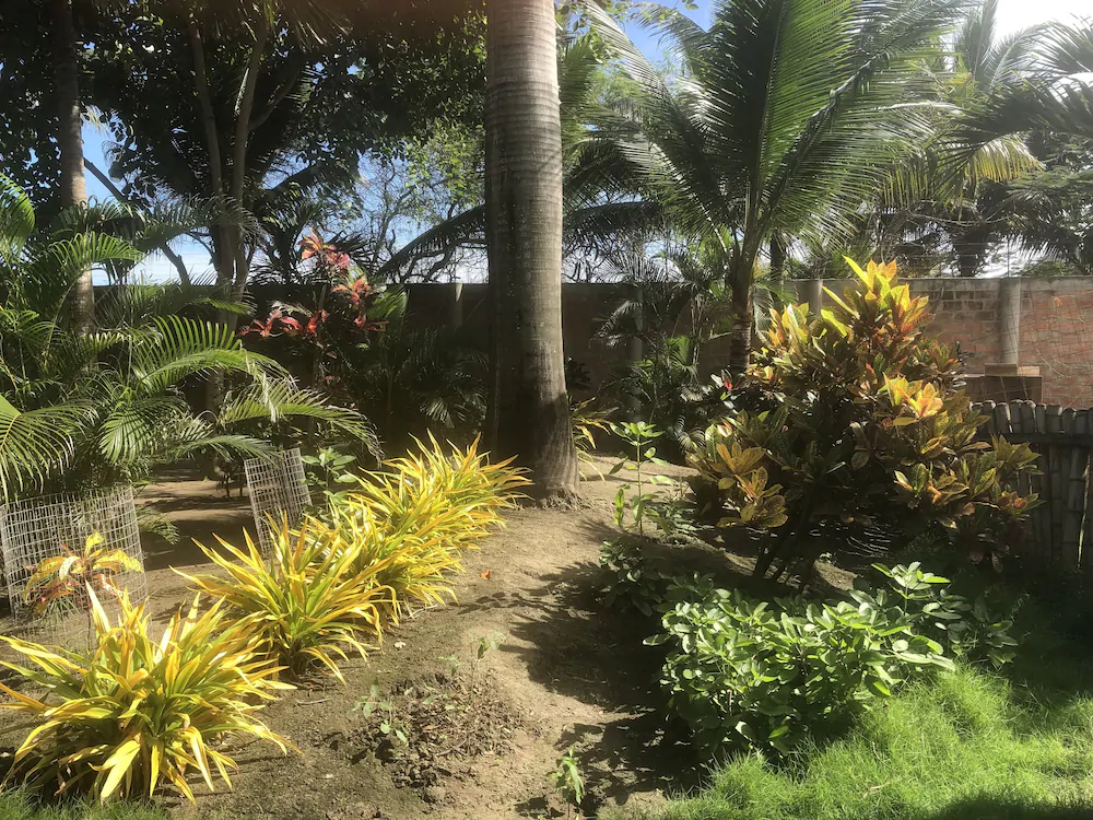 Canoa Oasis