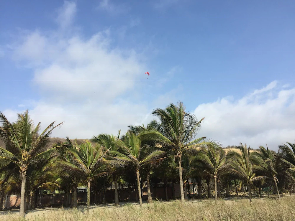 Canoa Oasis