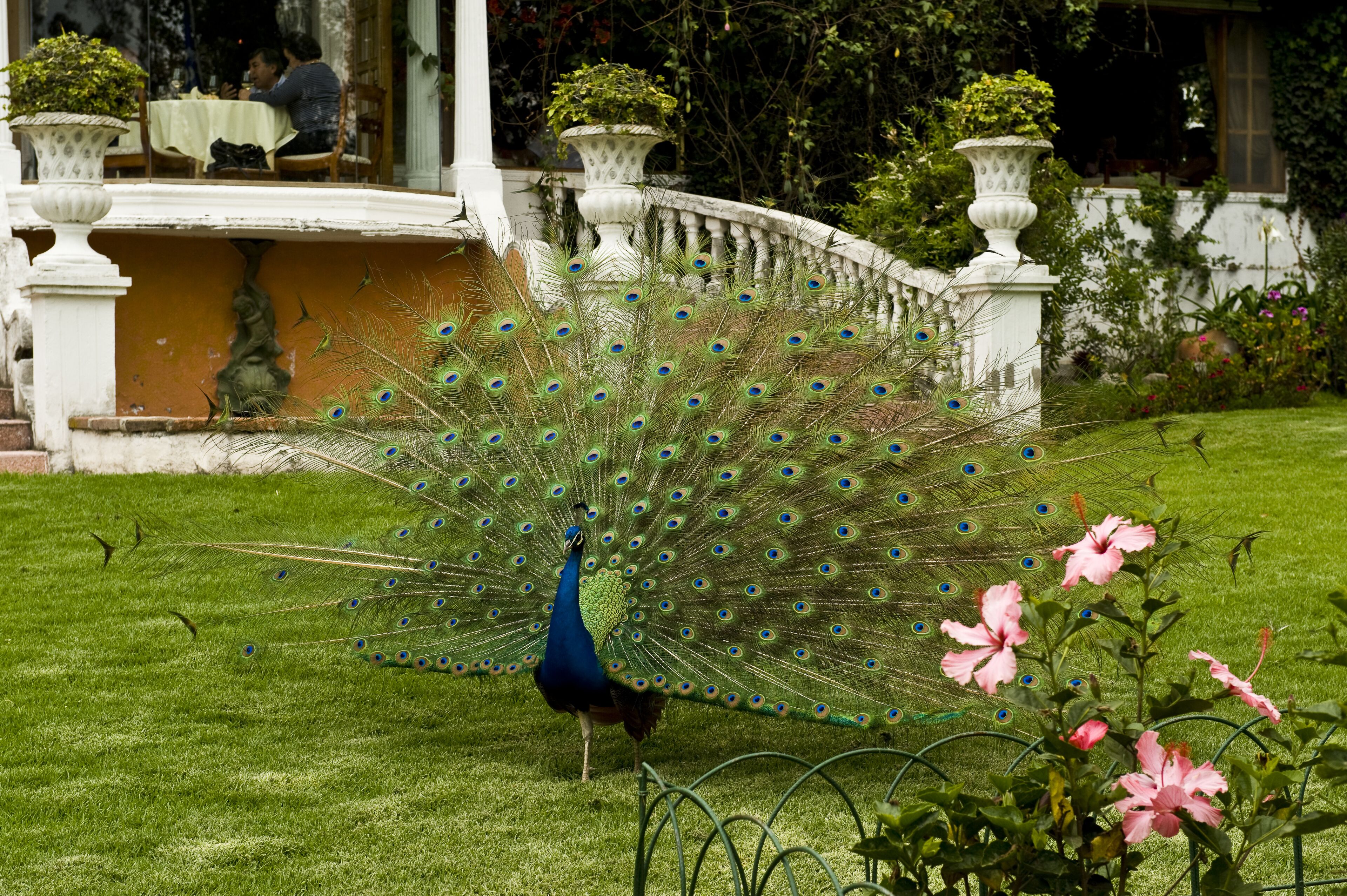 La Mirage Garden Hotel & Spa