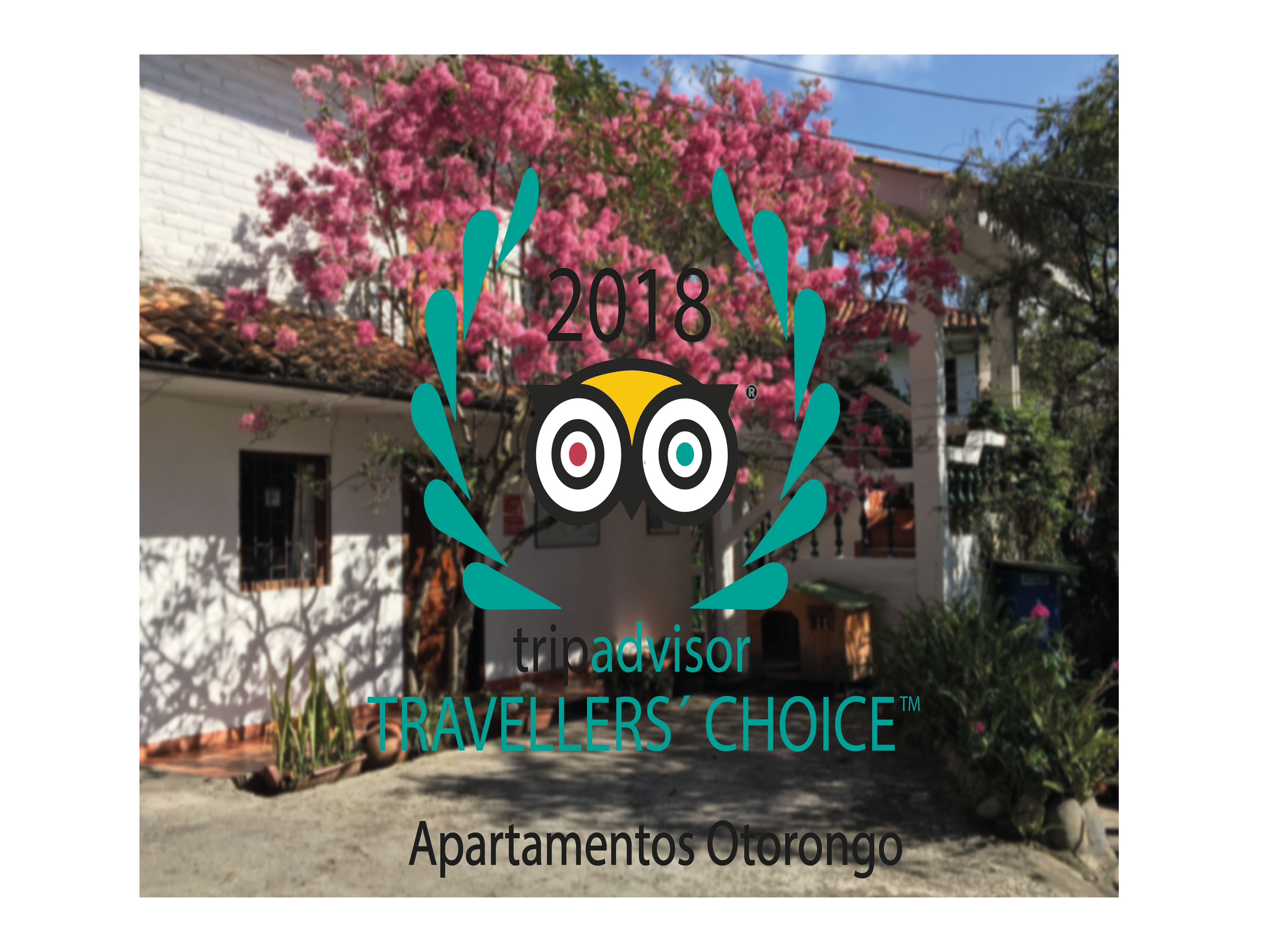 Apartamentos Otorongo