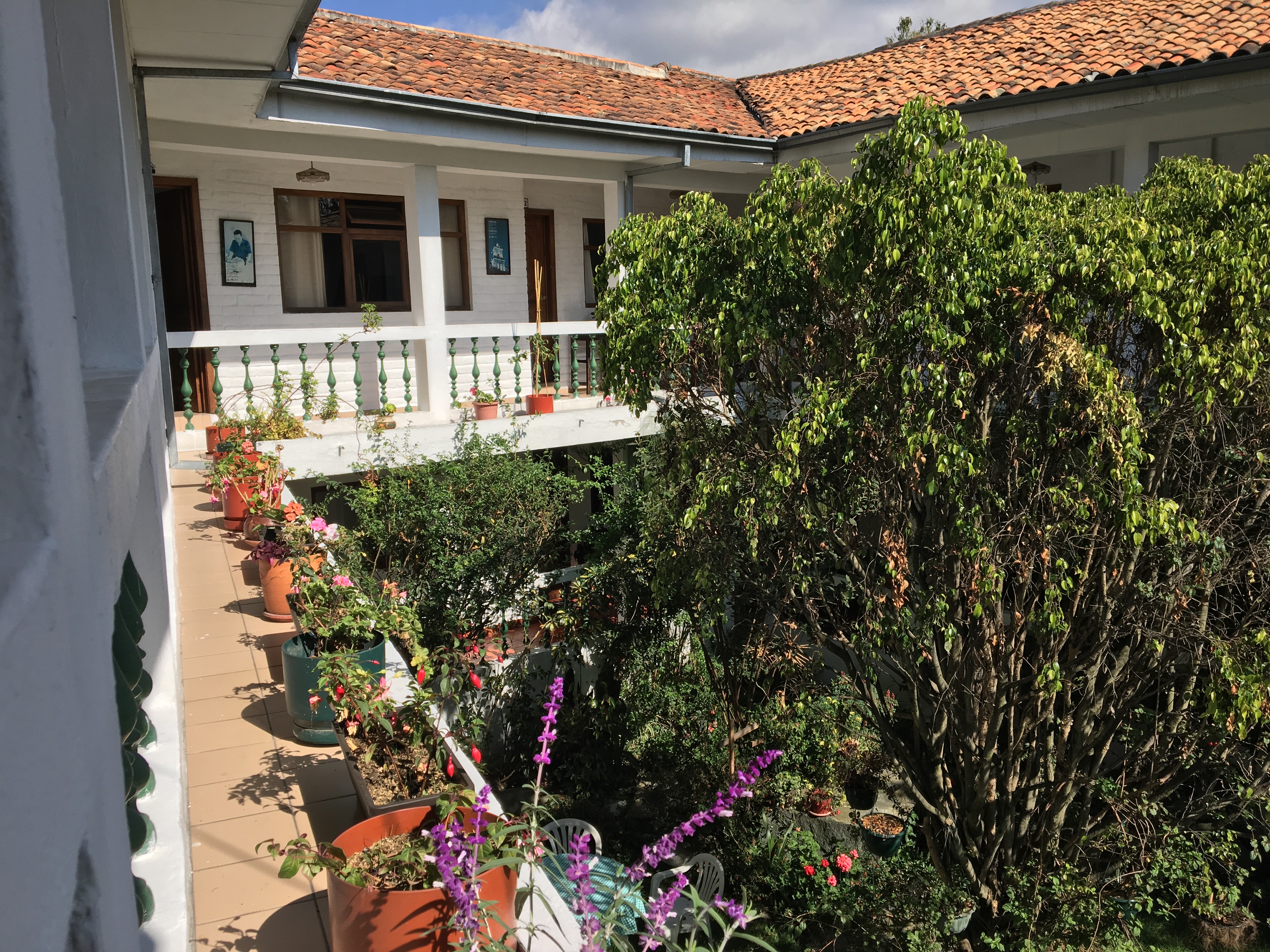 Apartamentos Otorongo