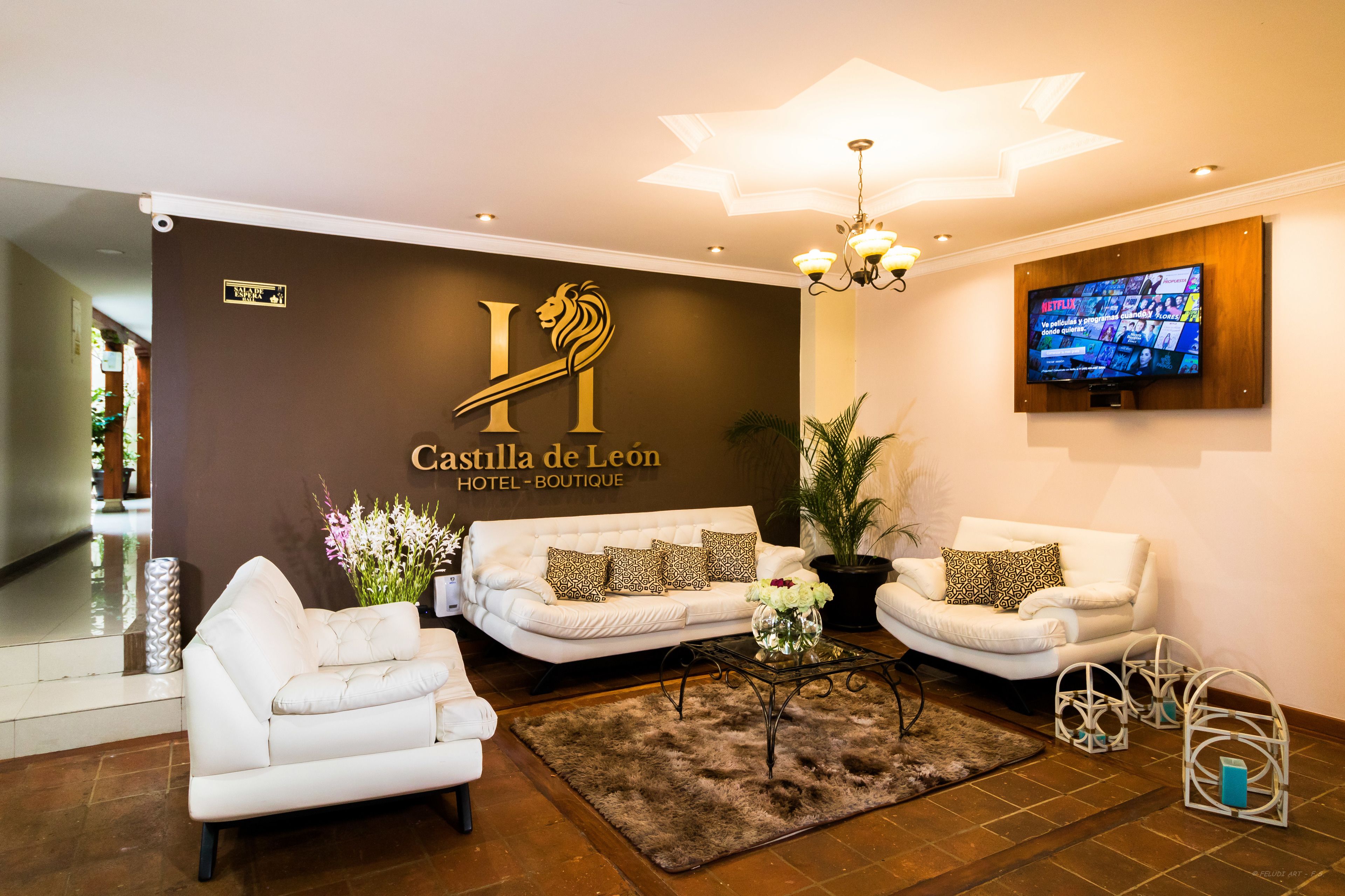 Hotel Boutique Castilla De Léon
