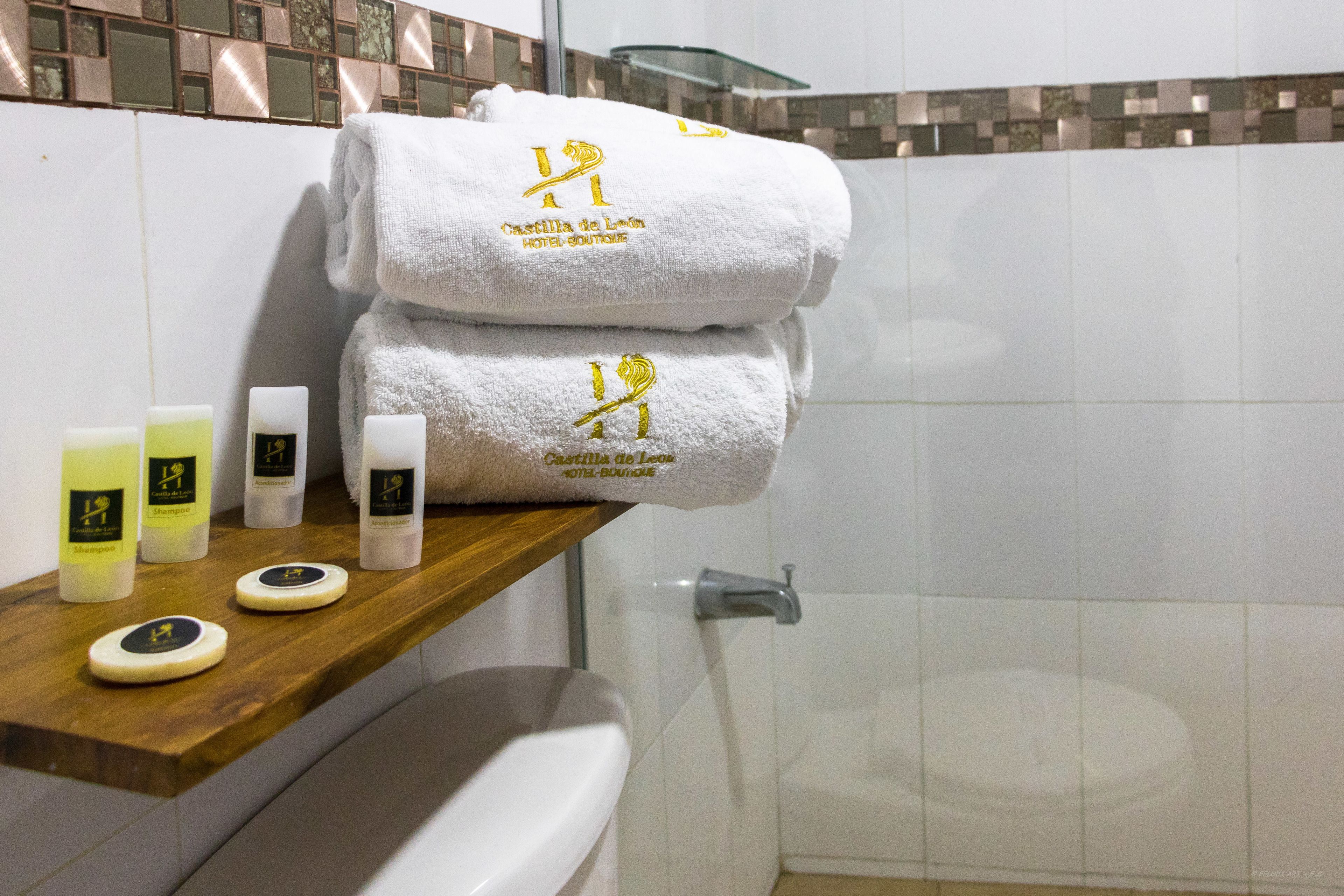 Hotel Boutique Castilla De Léon