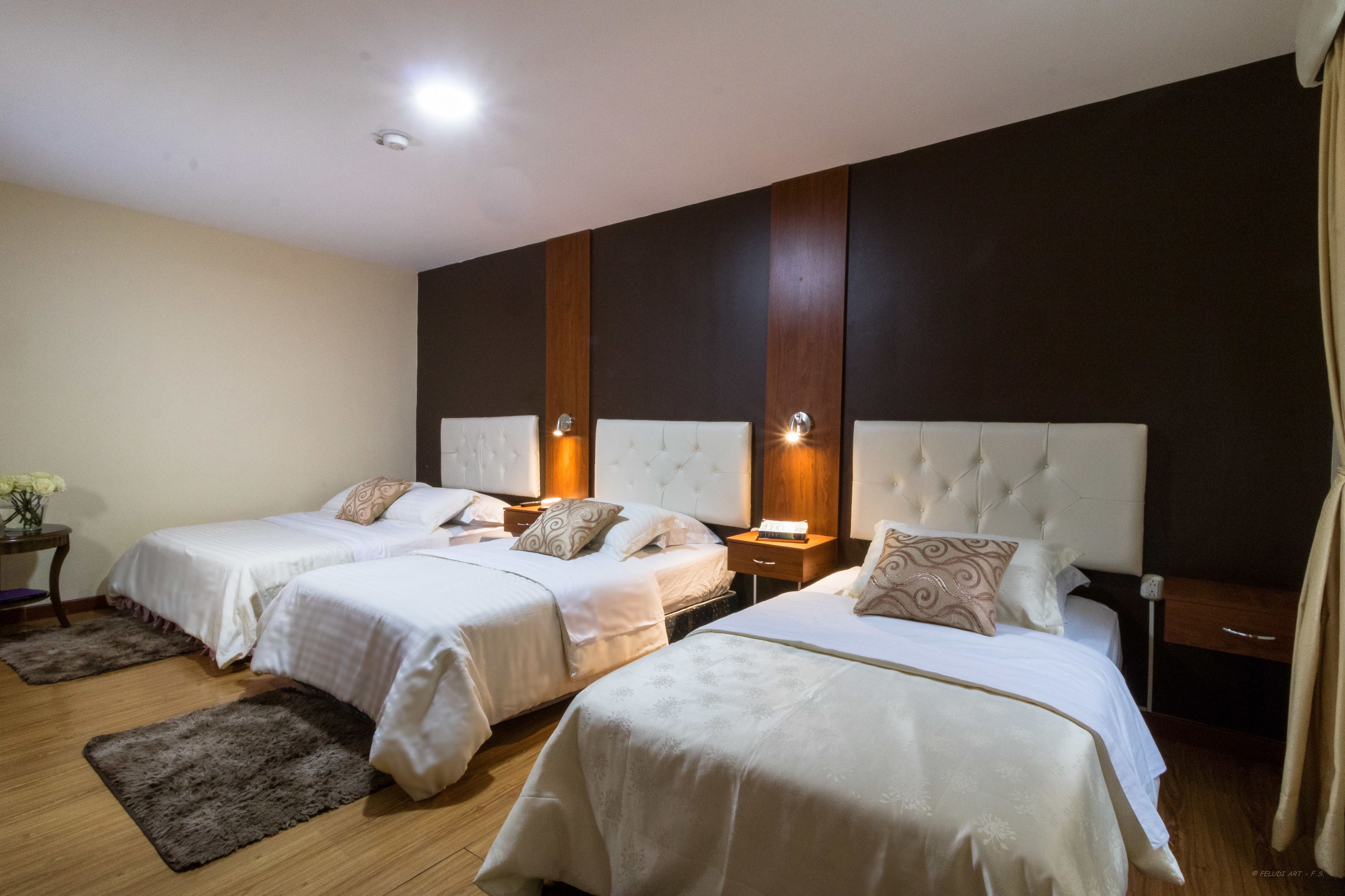 Hotel Boutique Castilla De Léon