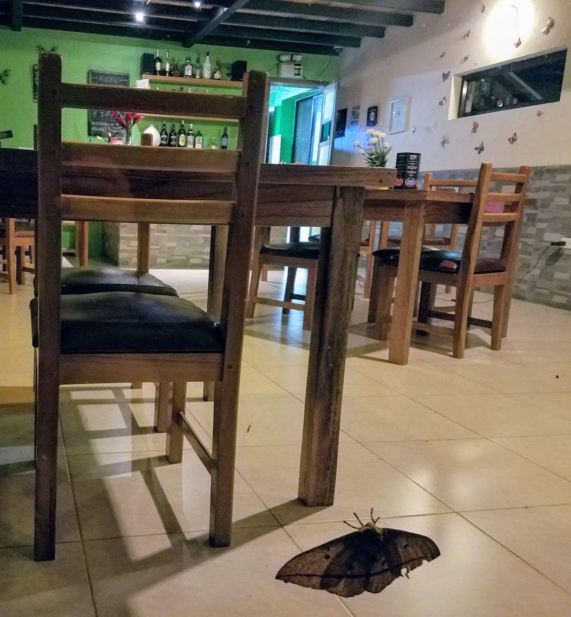Las Terrazas De Dana