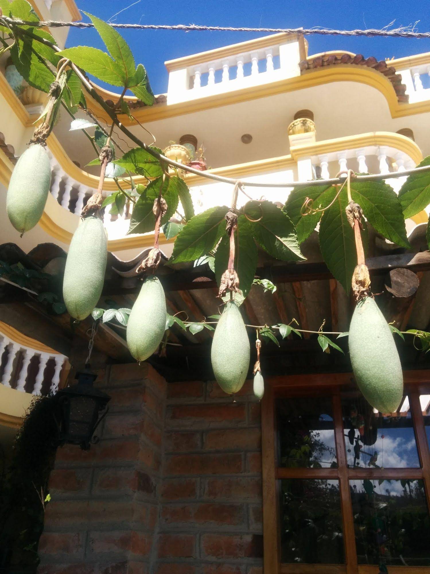 Hostal Curiñan